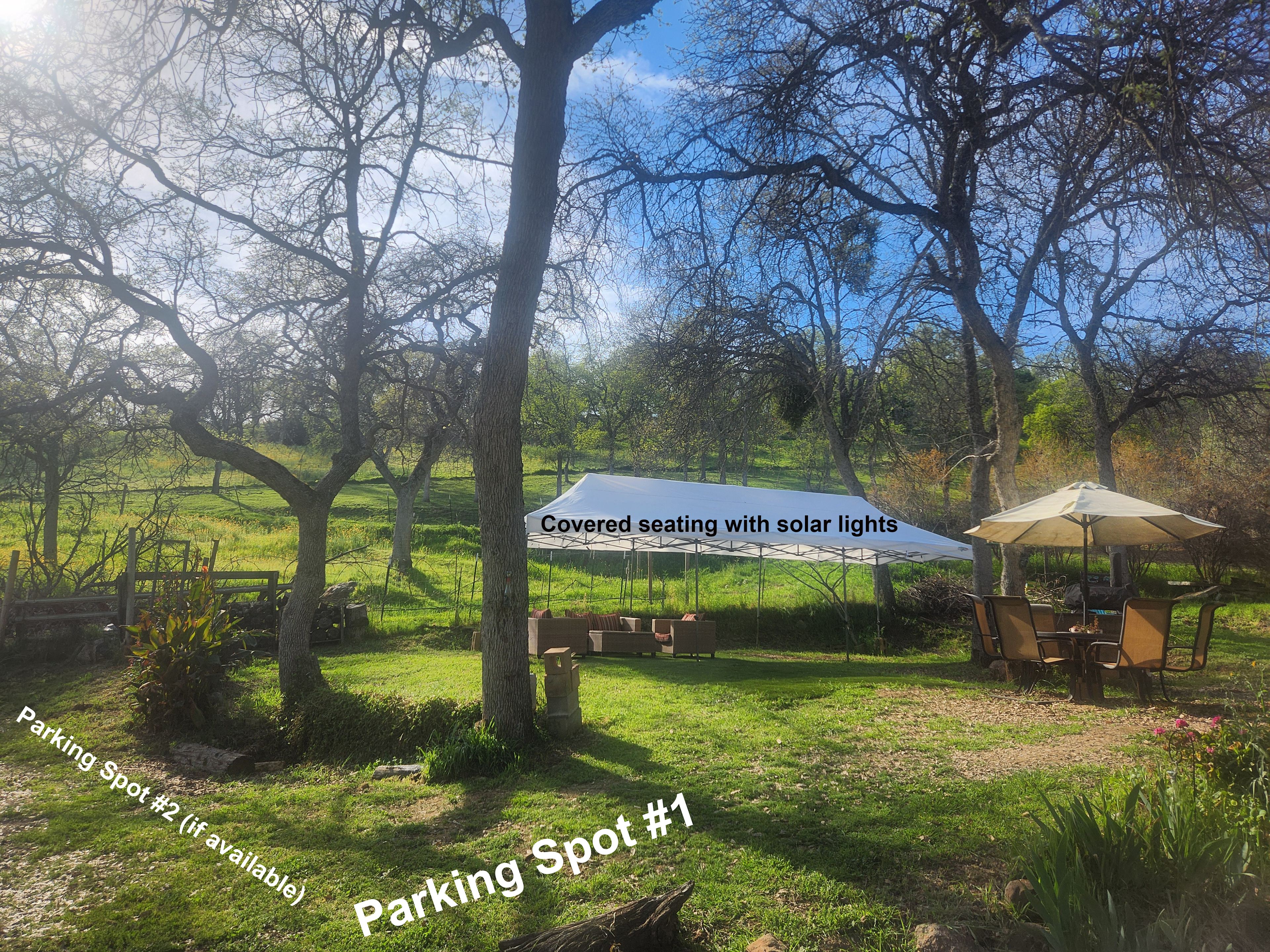 Remeadies Intoxicating Potions