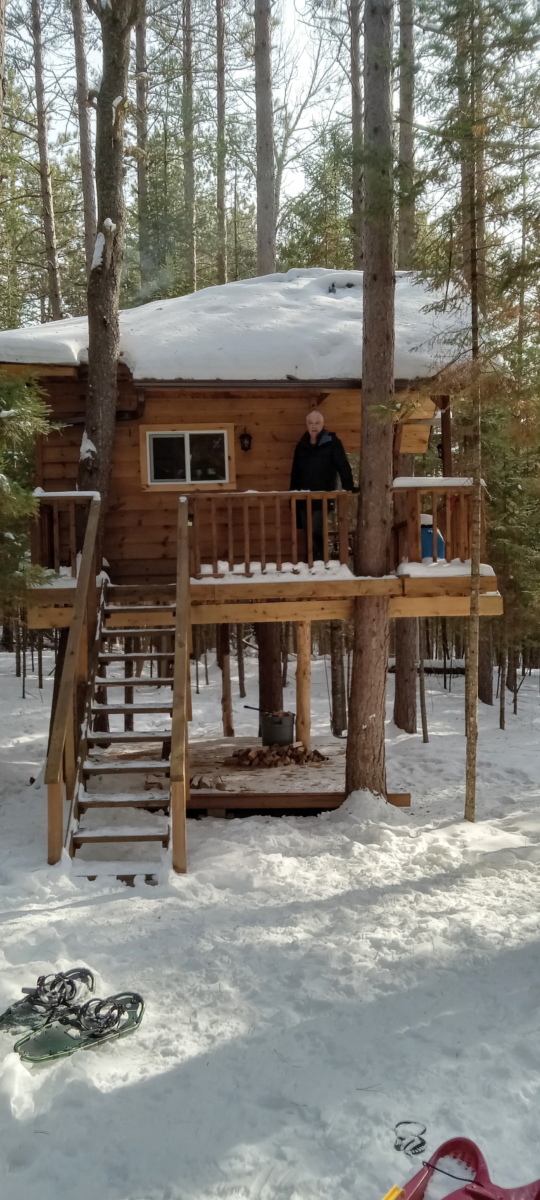 Pedja’s Tree House