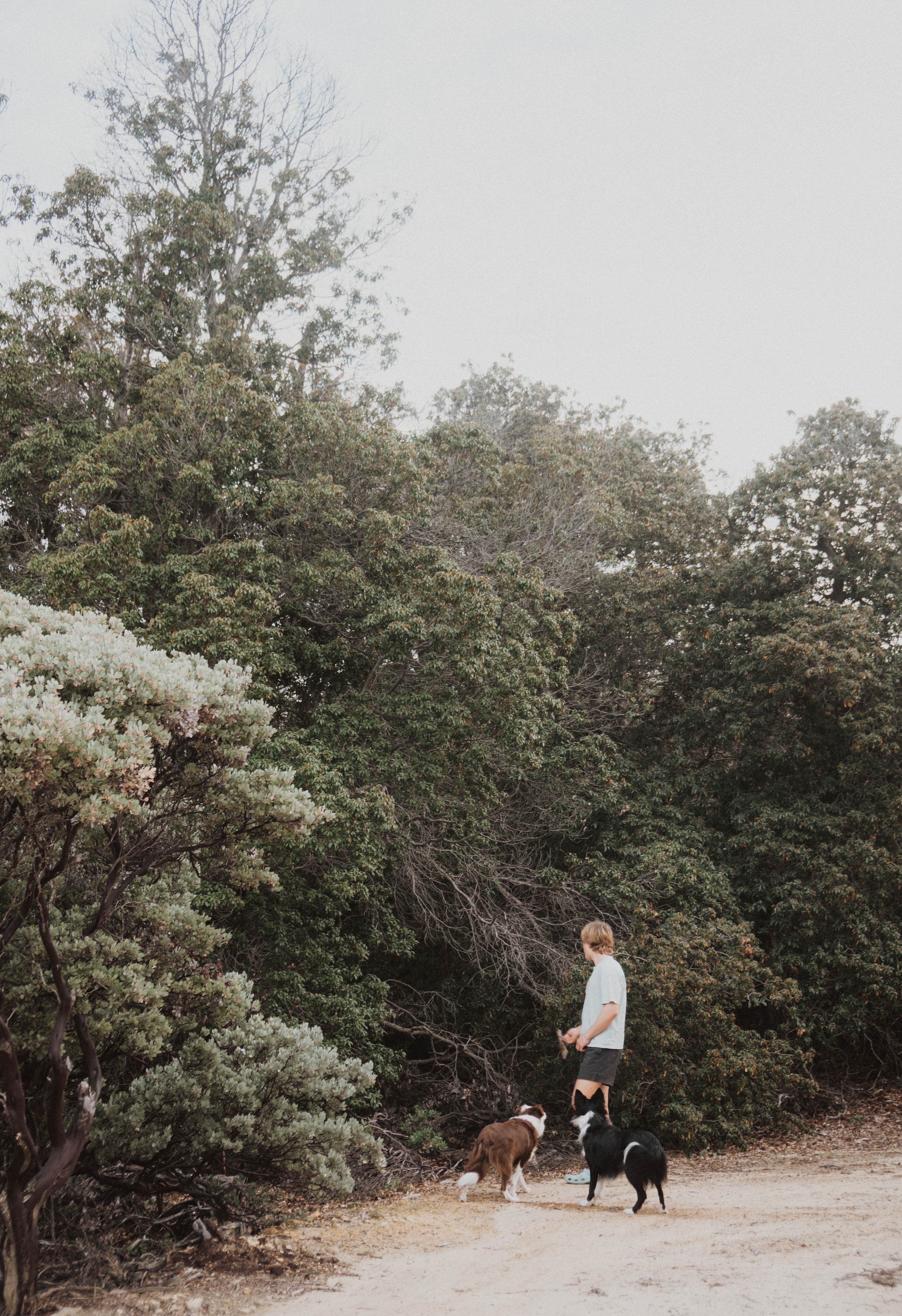 Sun/Moon Rise Camp W/ Valley View