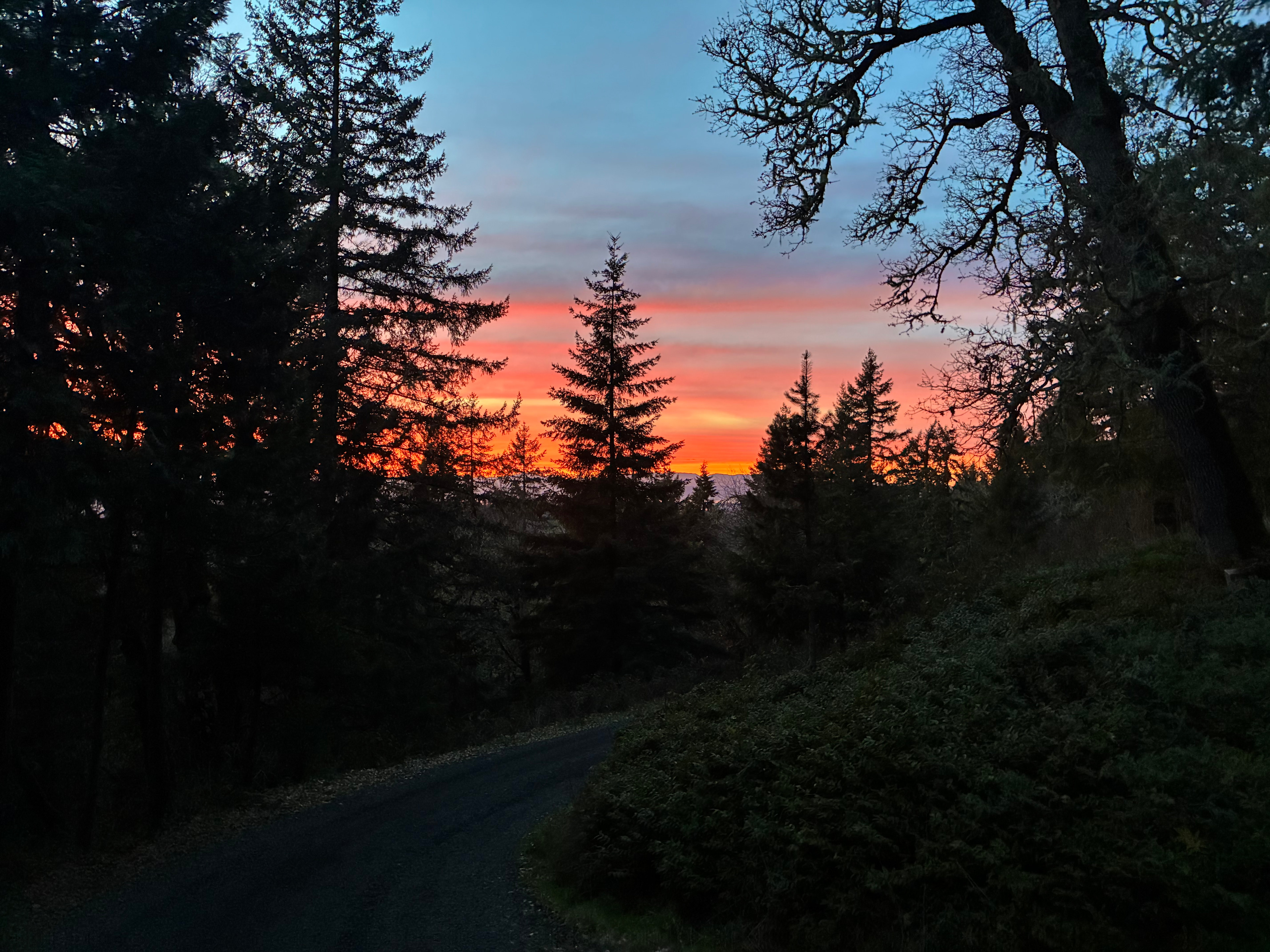 Close Inn Country View RV or VAN