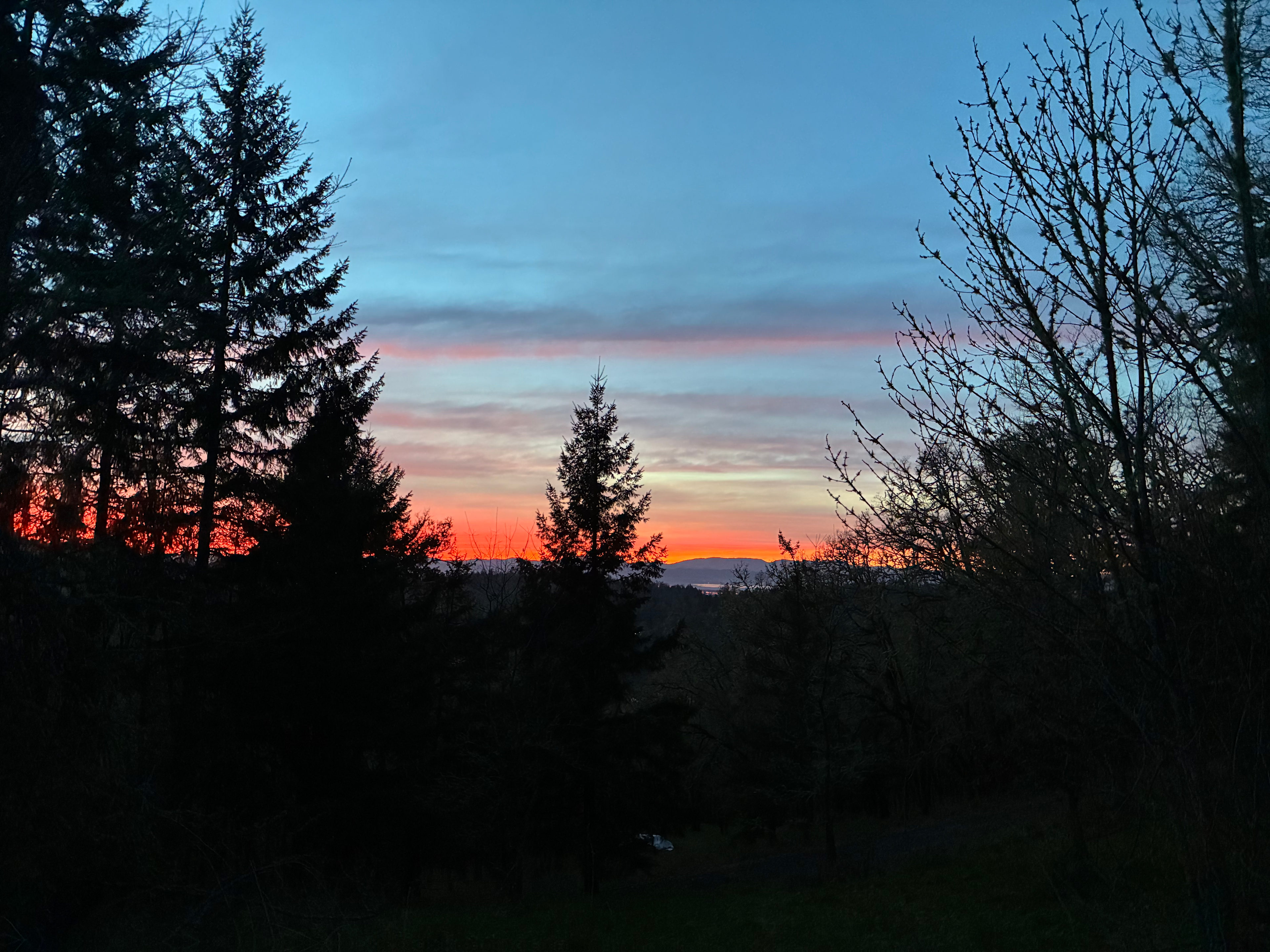 Close Inn Country View RV or VAN