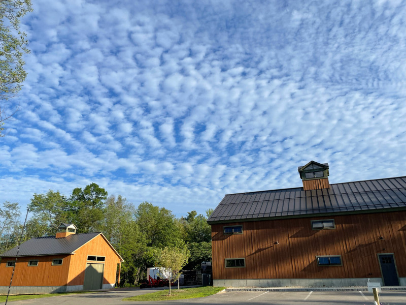 Certified Organic Distillery