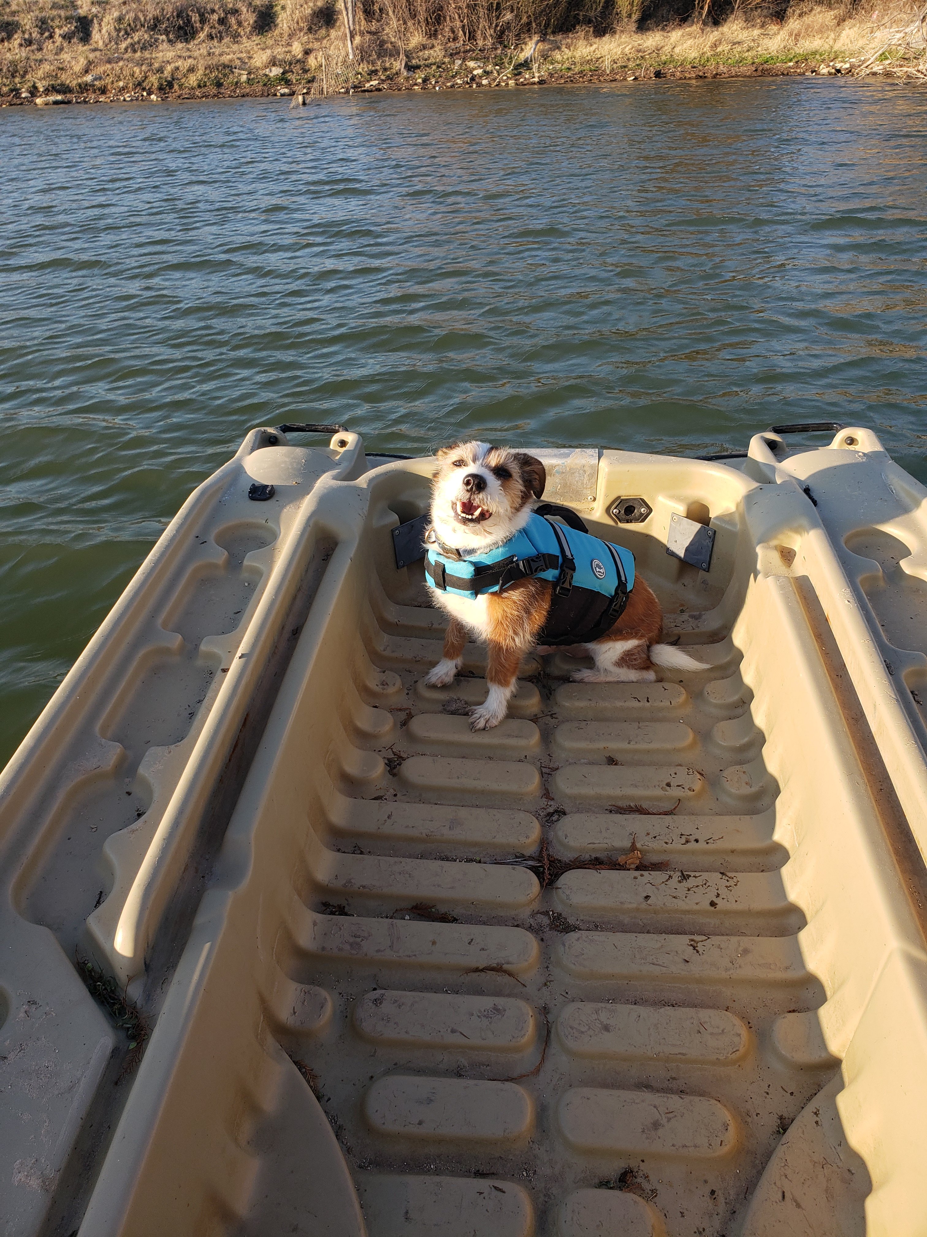 Little Off Lake House