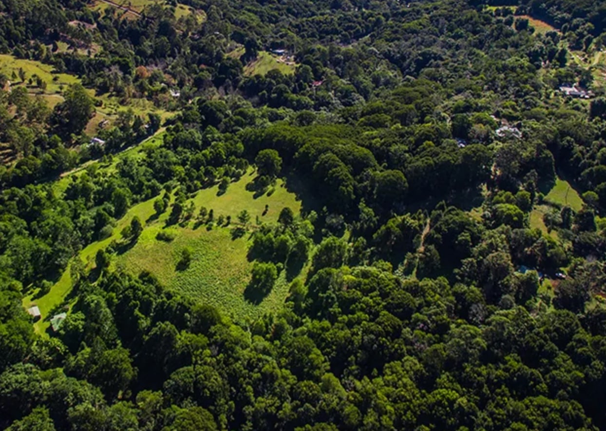 Hinterland Creek Retreat
