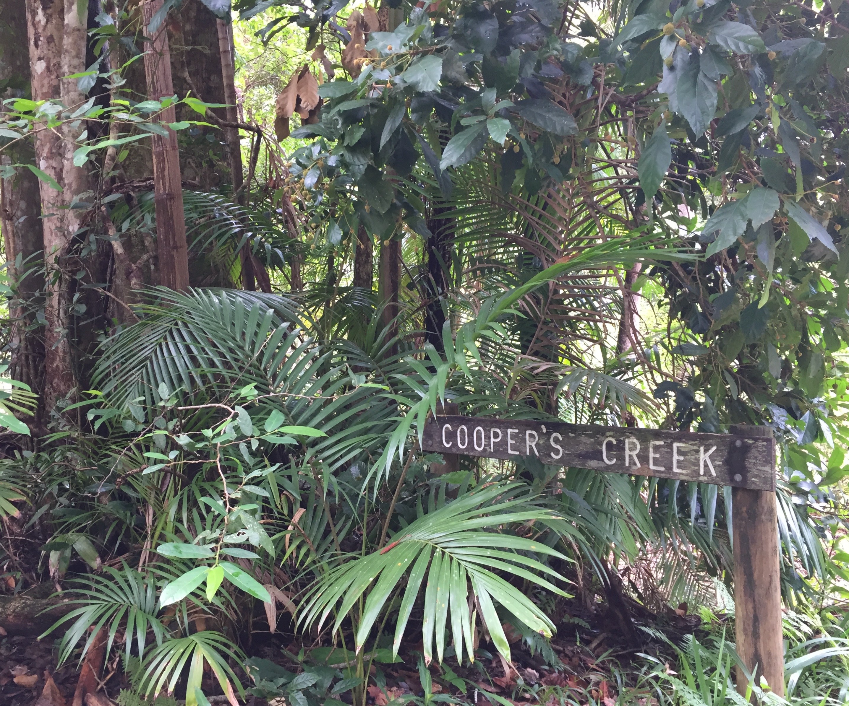 Hinterland Creek Retreat