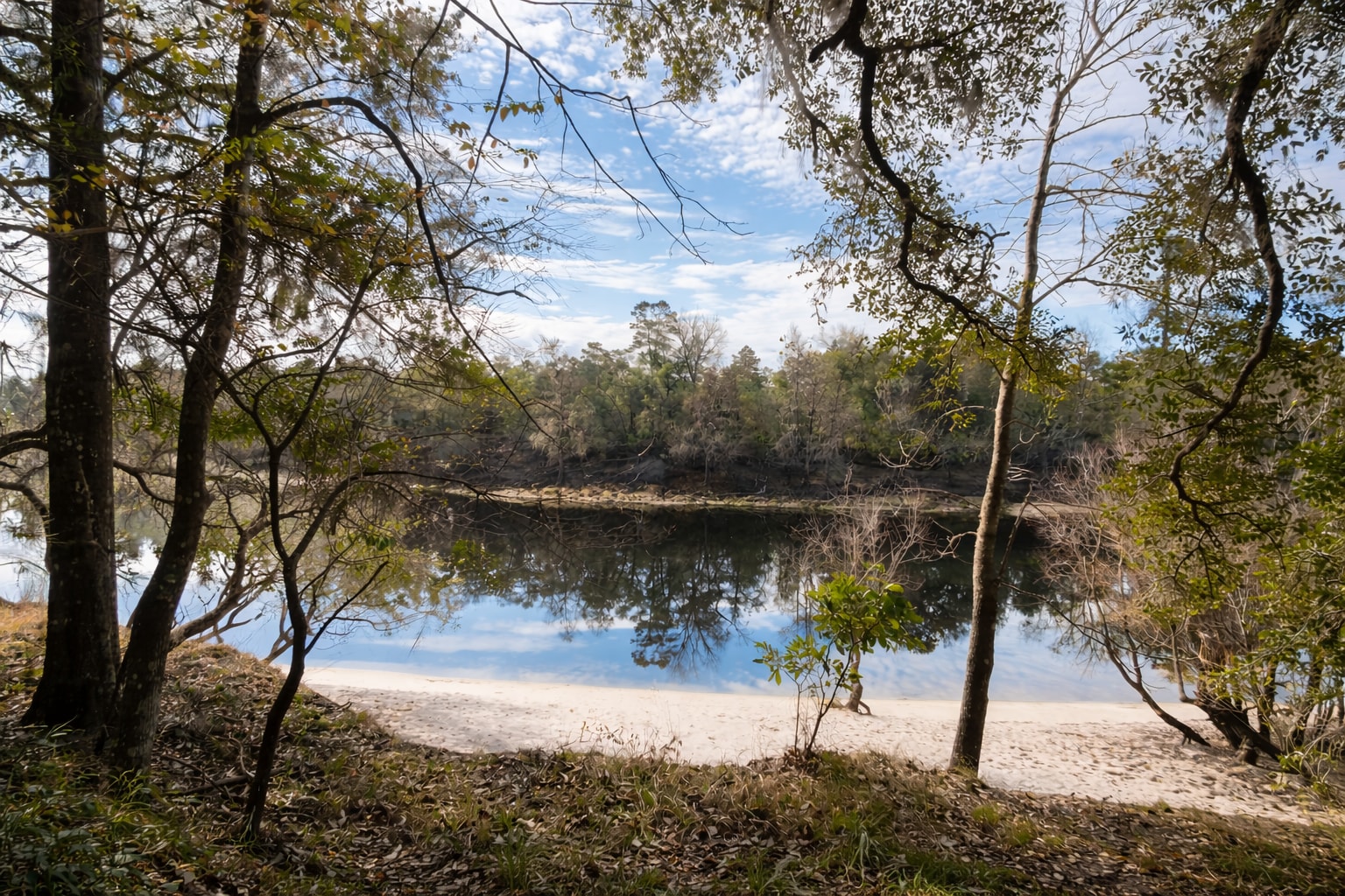 Peaceful Suwannee River Camping