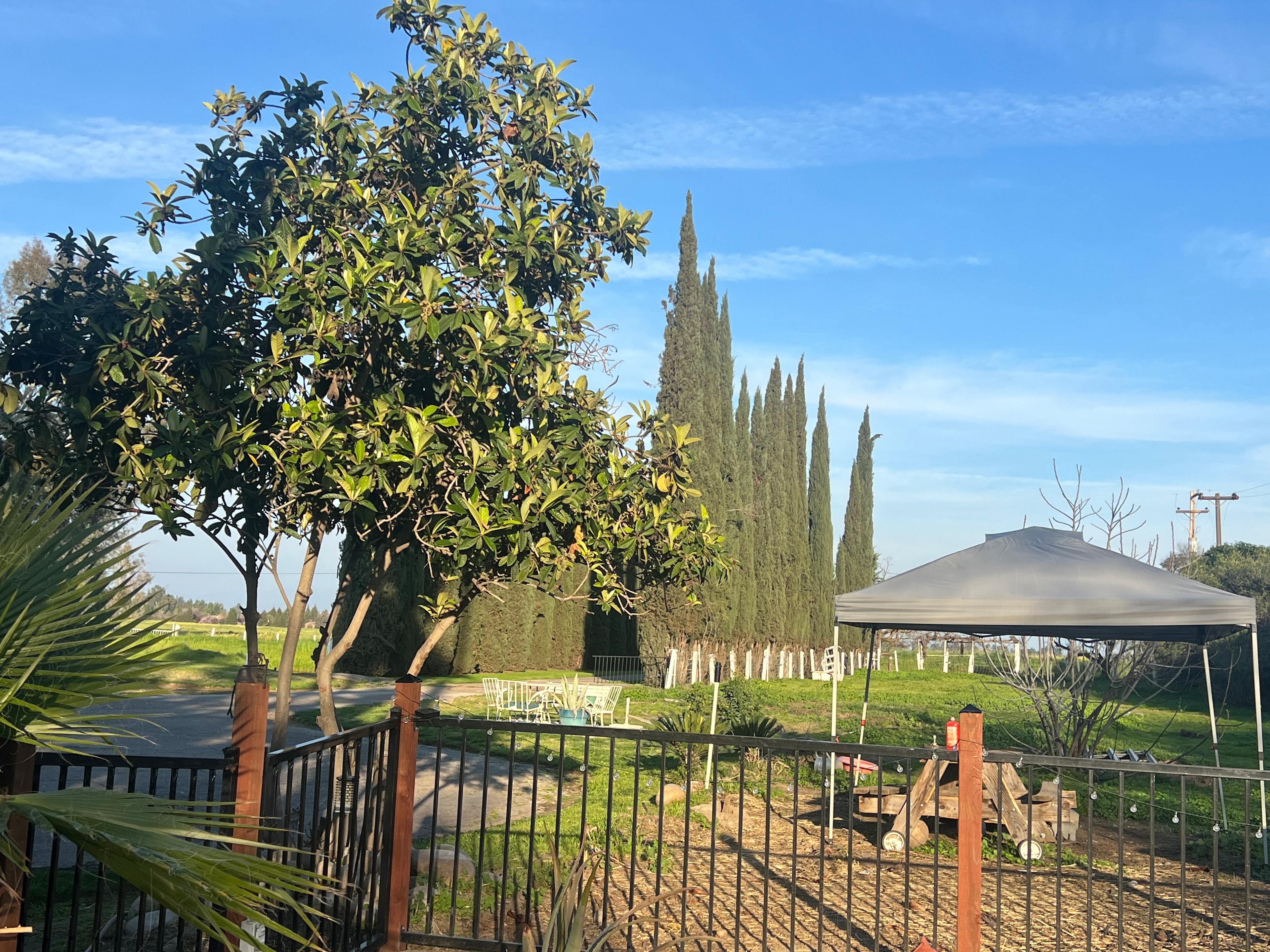 The Meadow Lark Ranch