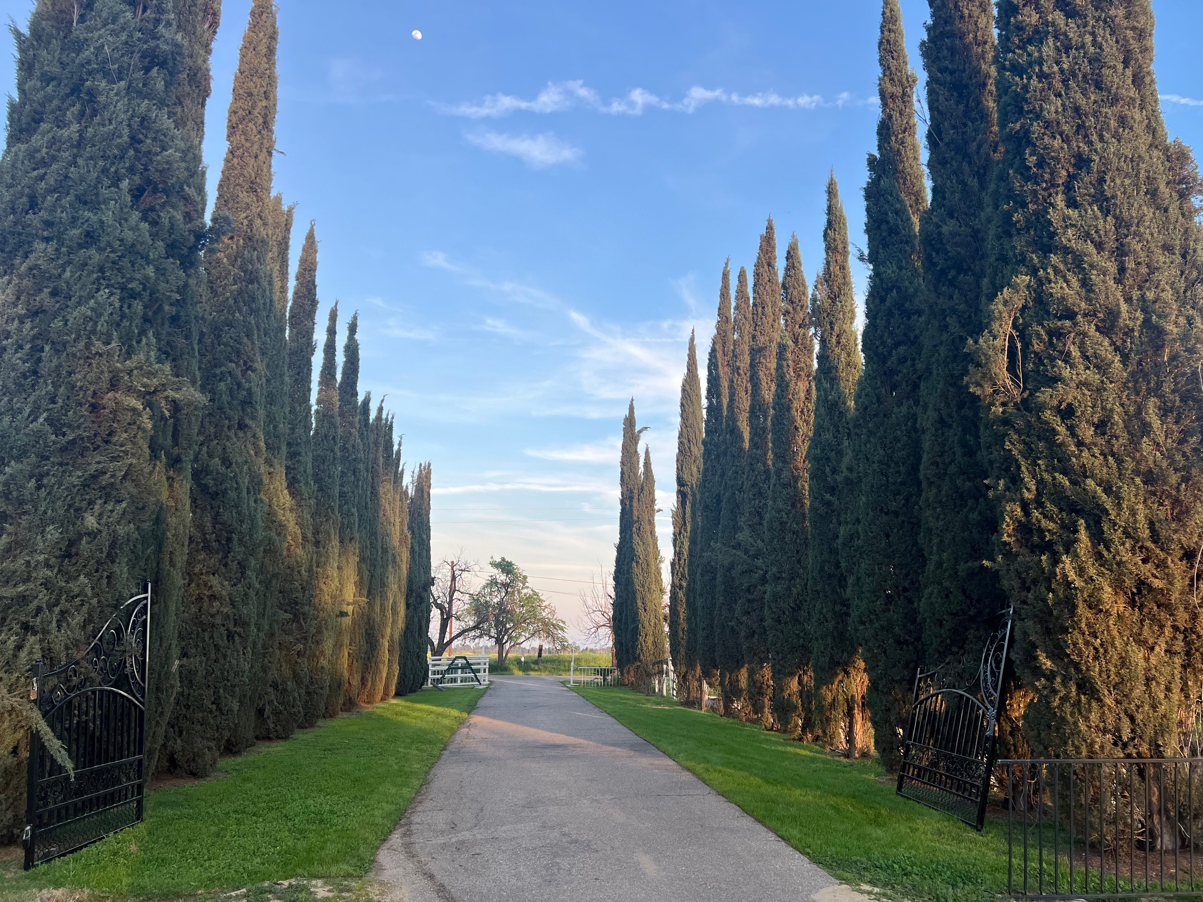 The Meadow Lark Ranch