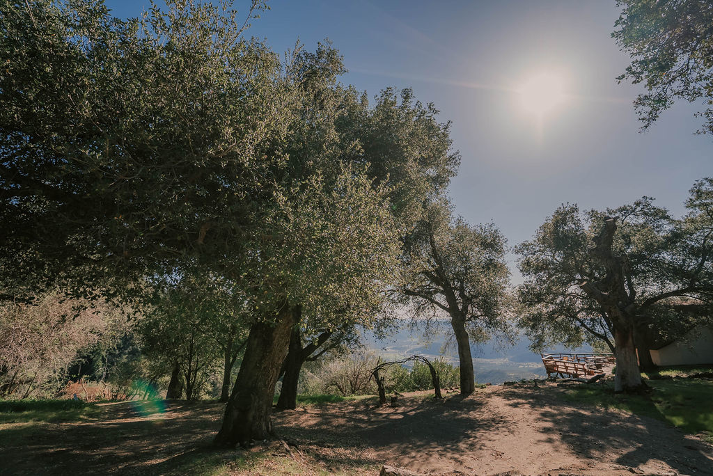 Harrison Serenity Ranch