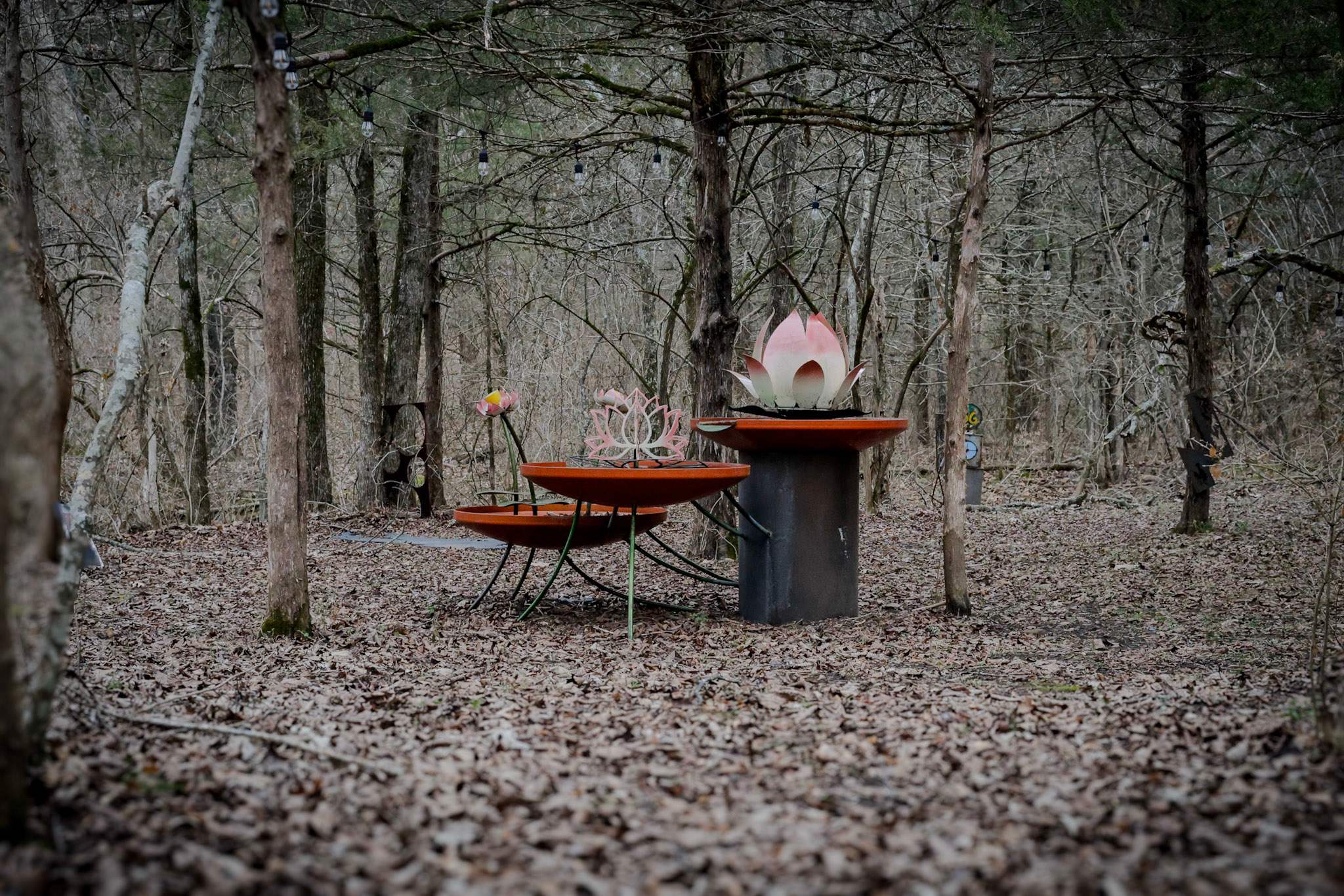 Metal Mountain Private Camping