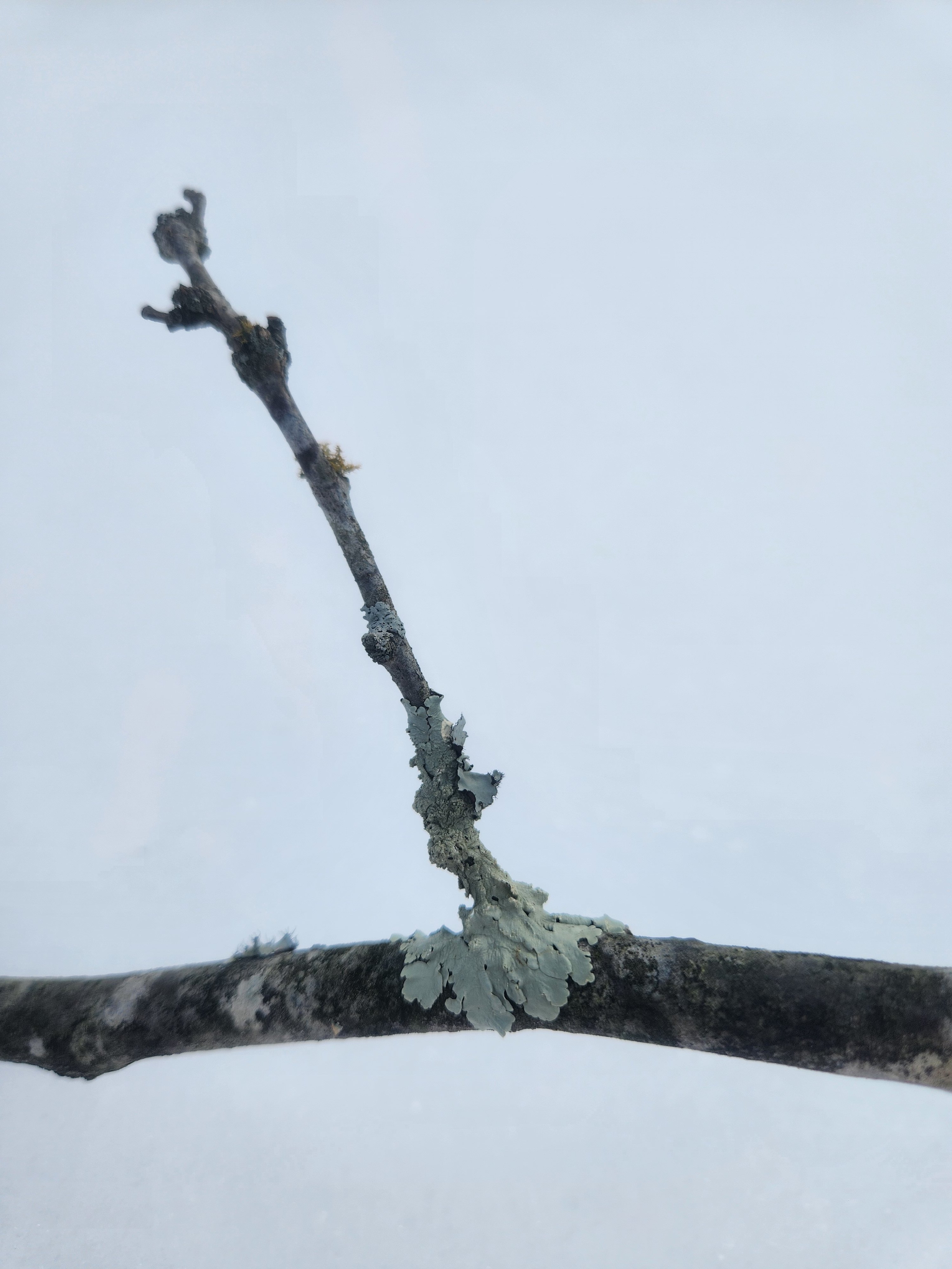 Metal Mountain Private Camping