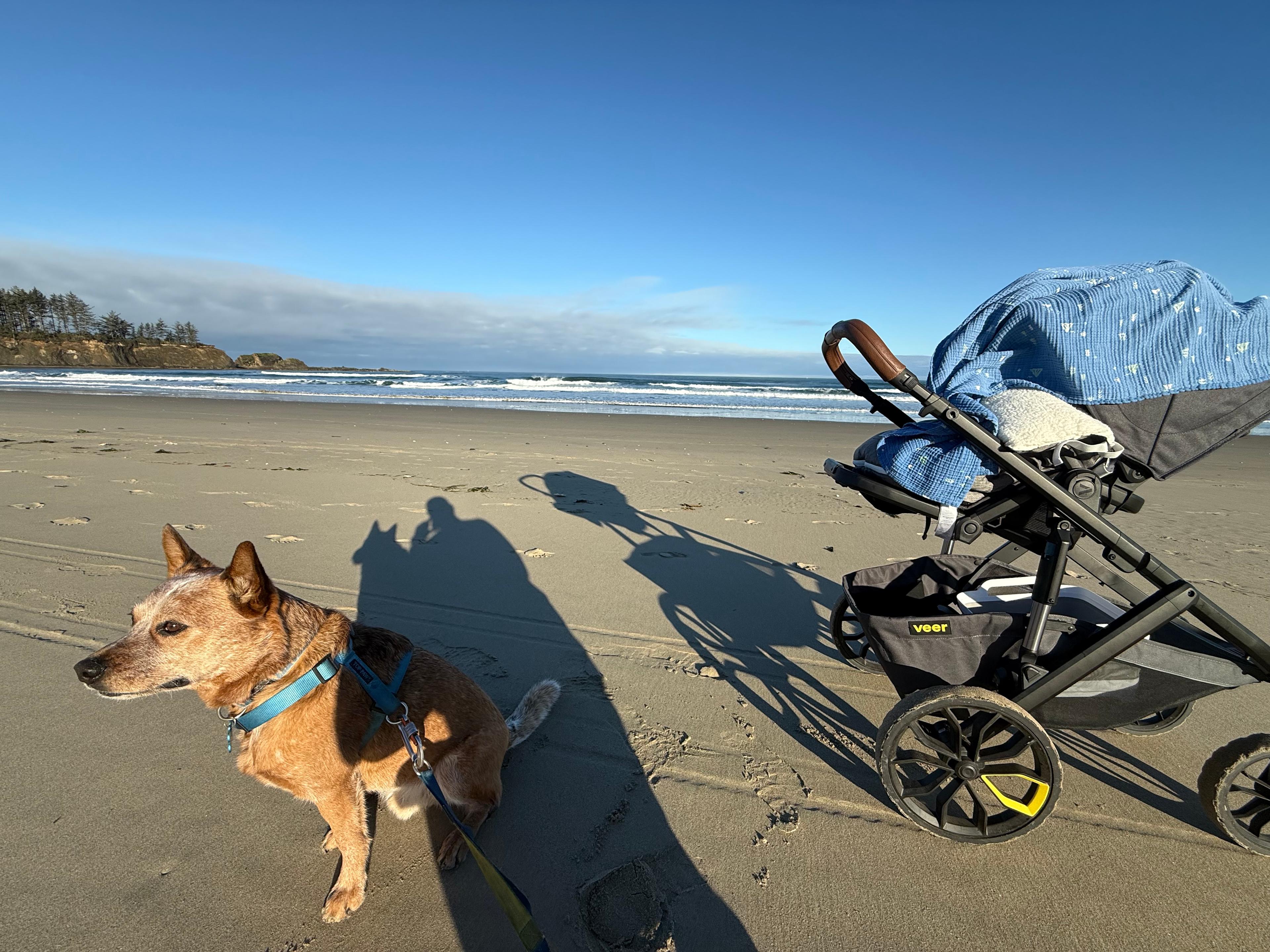 Sun Outdoors Coos Bay