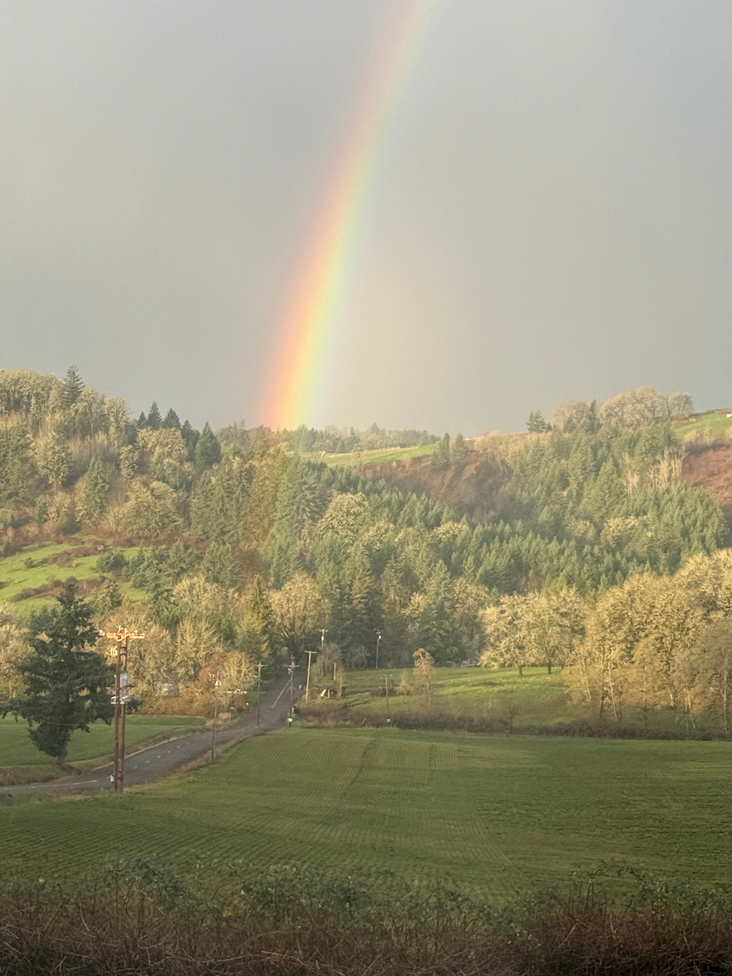 Stark Sunnyridge Farm