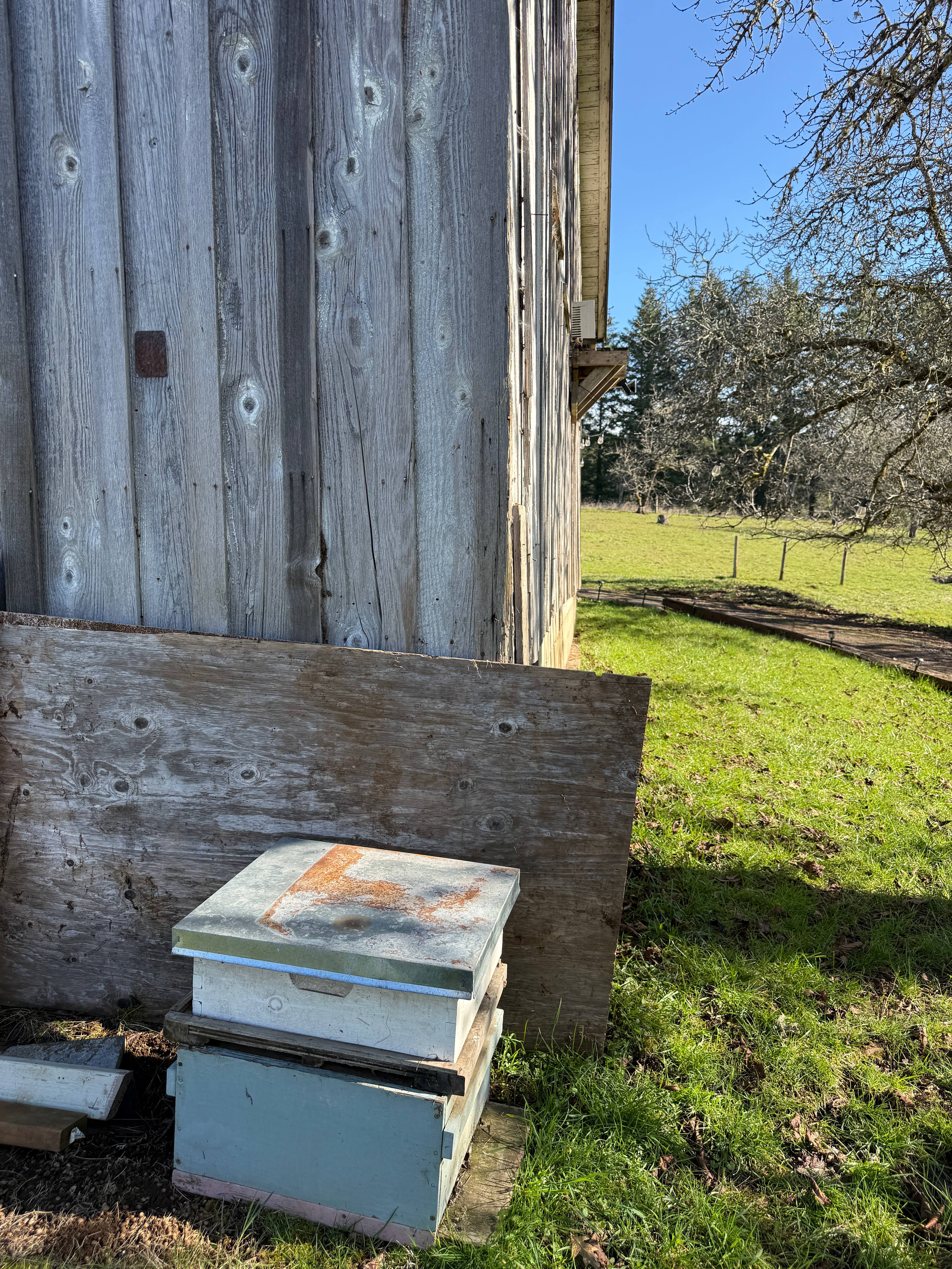 Stark Sunnyridge Farm