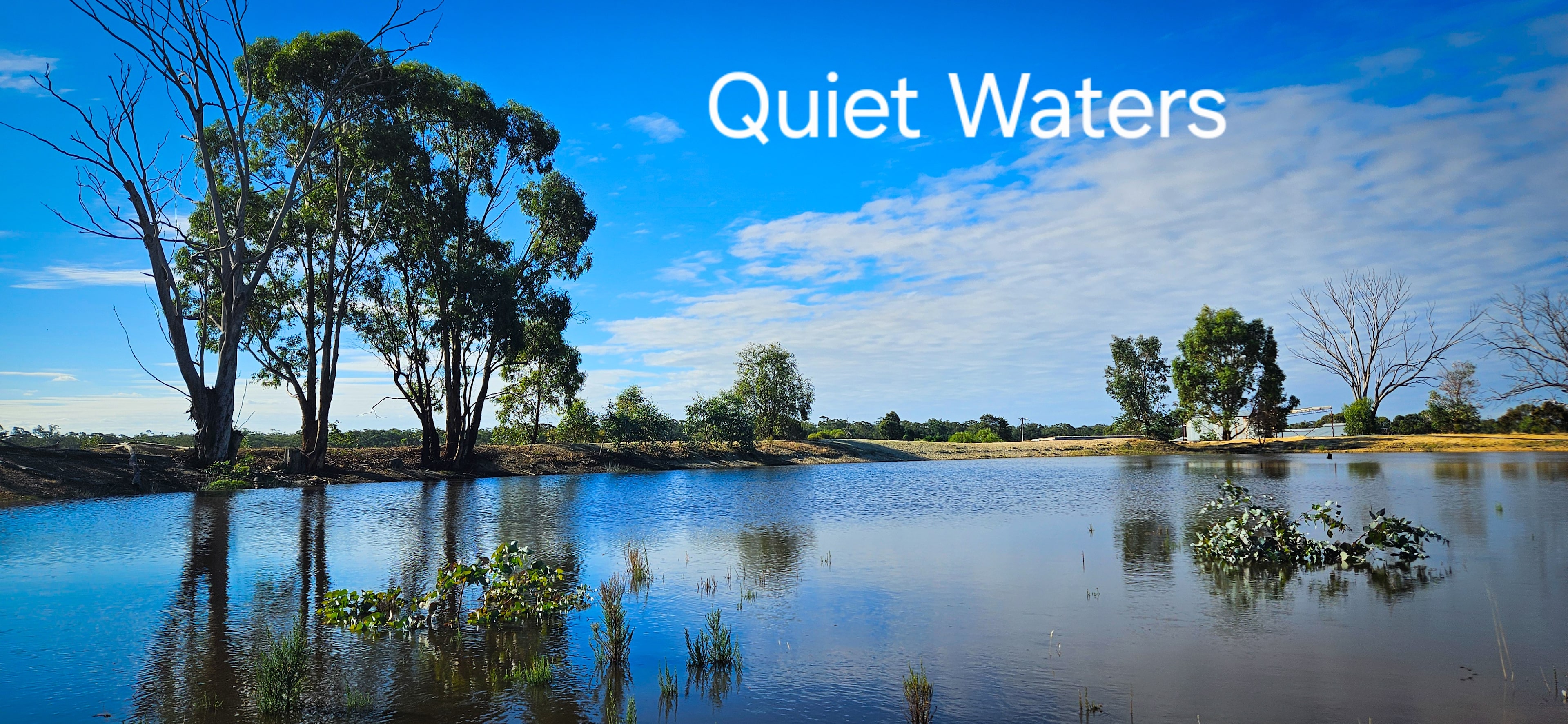 Somerville Park   (Bendigo)