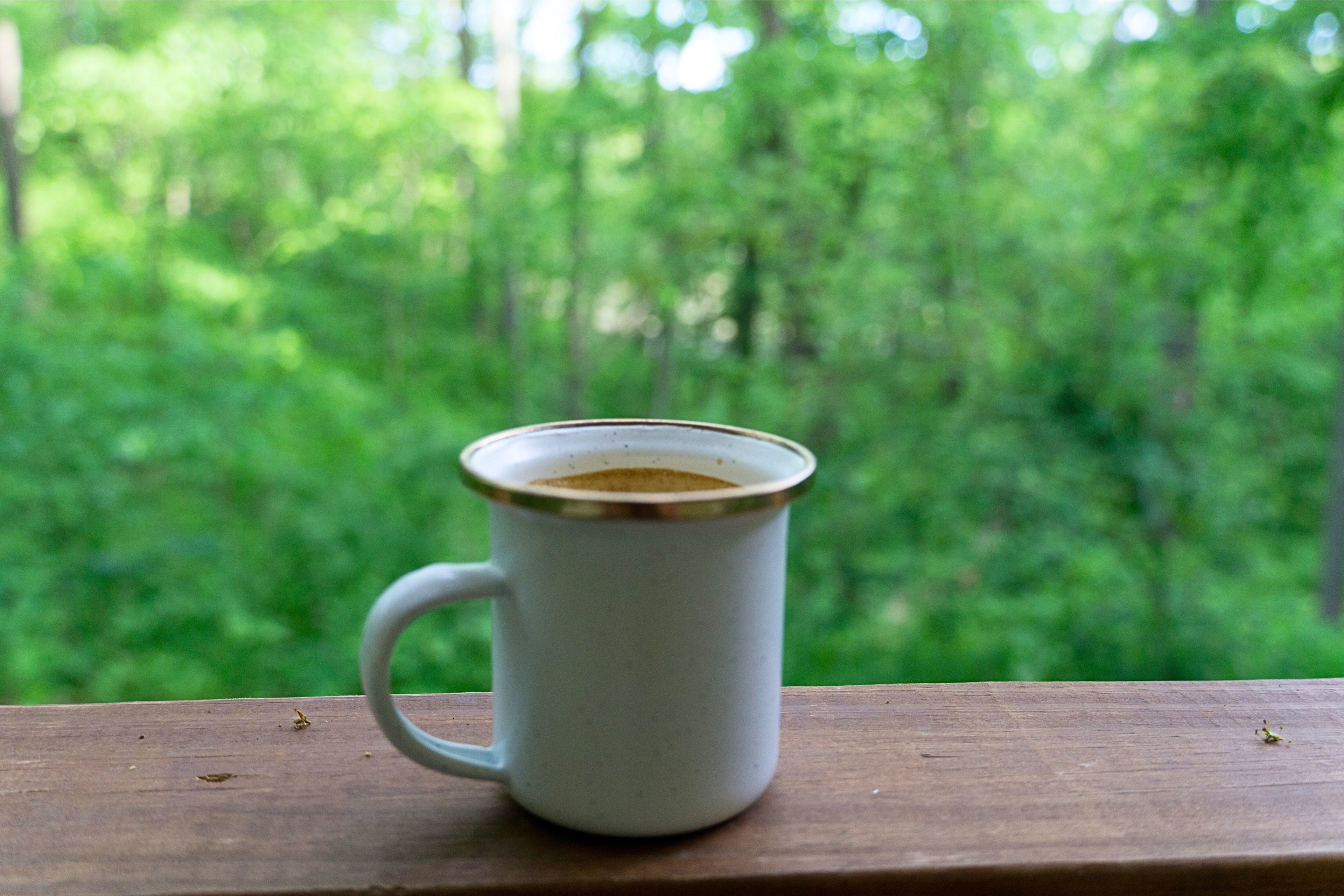 Saylor Creek Hideaway