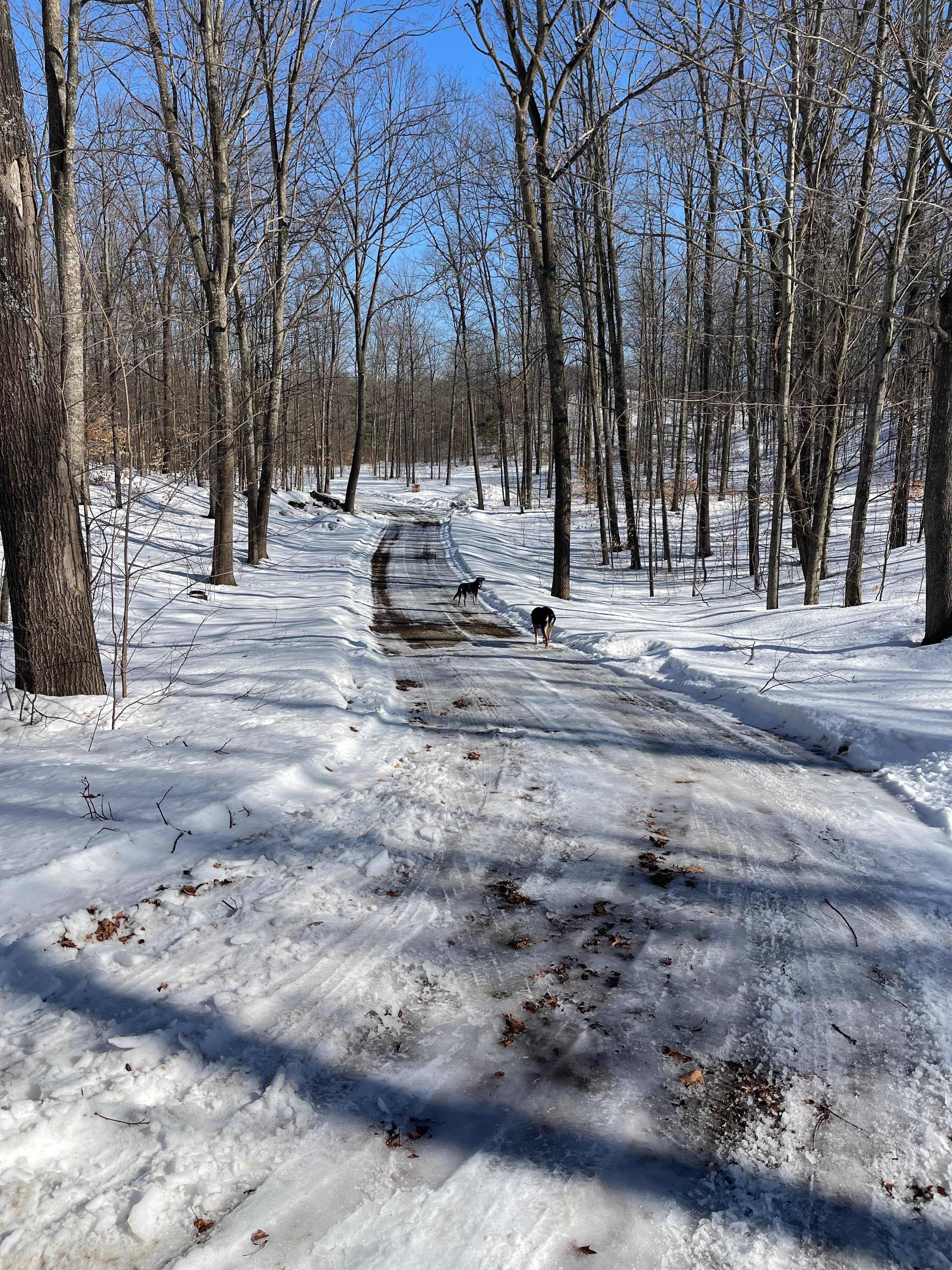 North Sky Retreat: 177 Acres