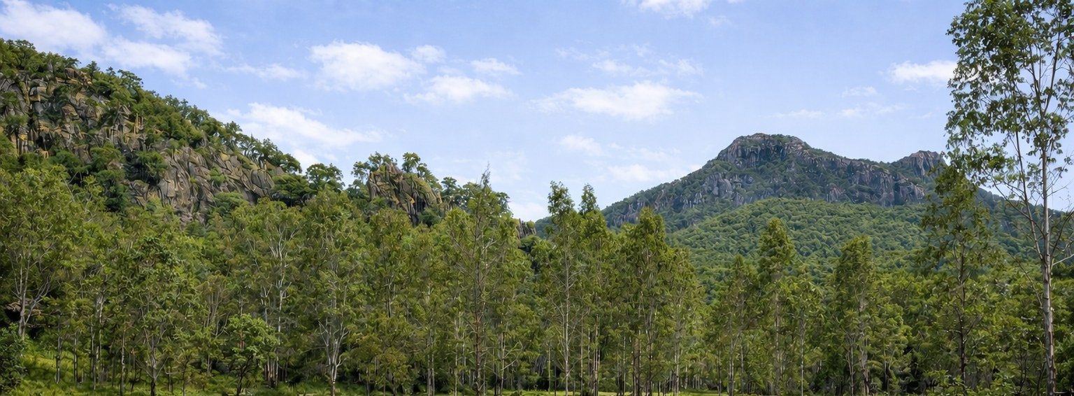 Barney View Bush Camping