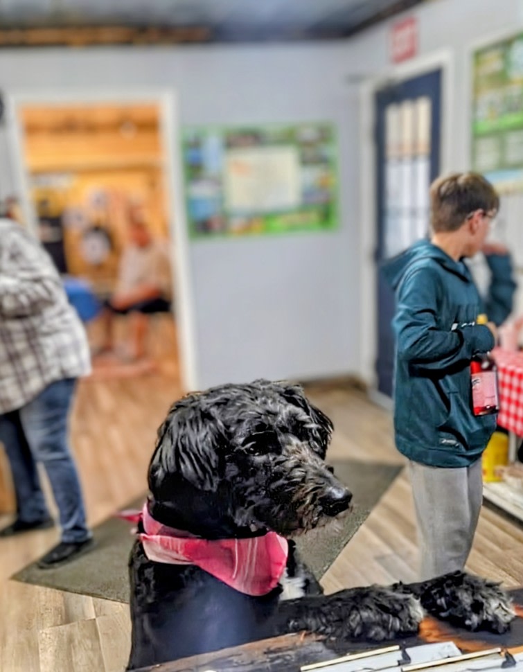 Unhitched Nashville North RV Resort