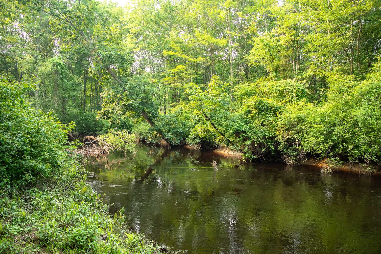 Winding River Campground