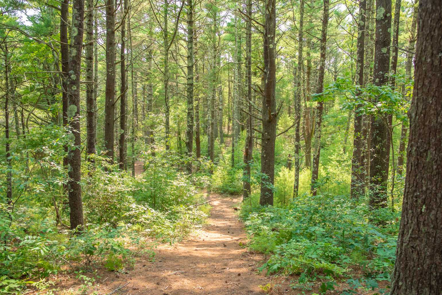 Sandy Pond Campground, Plymouth, Massachusetts