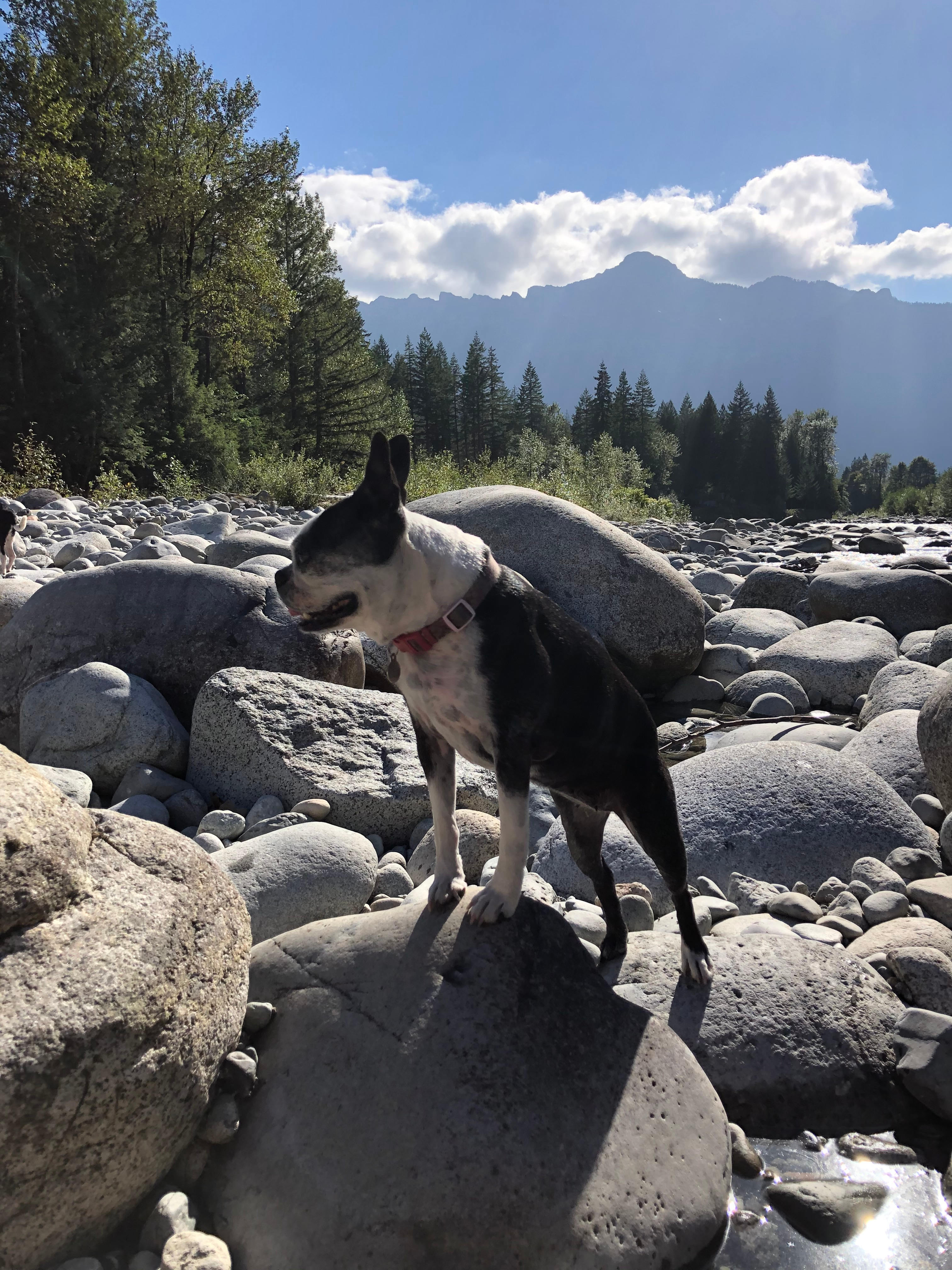 Index Riverside Camp