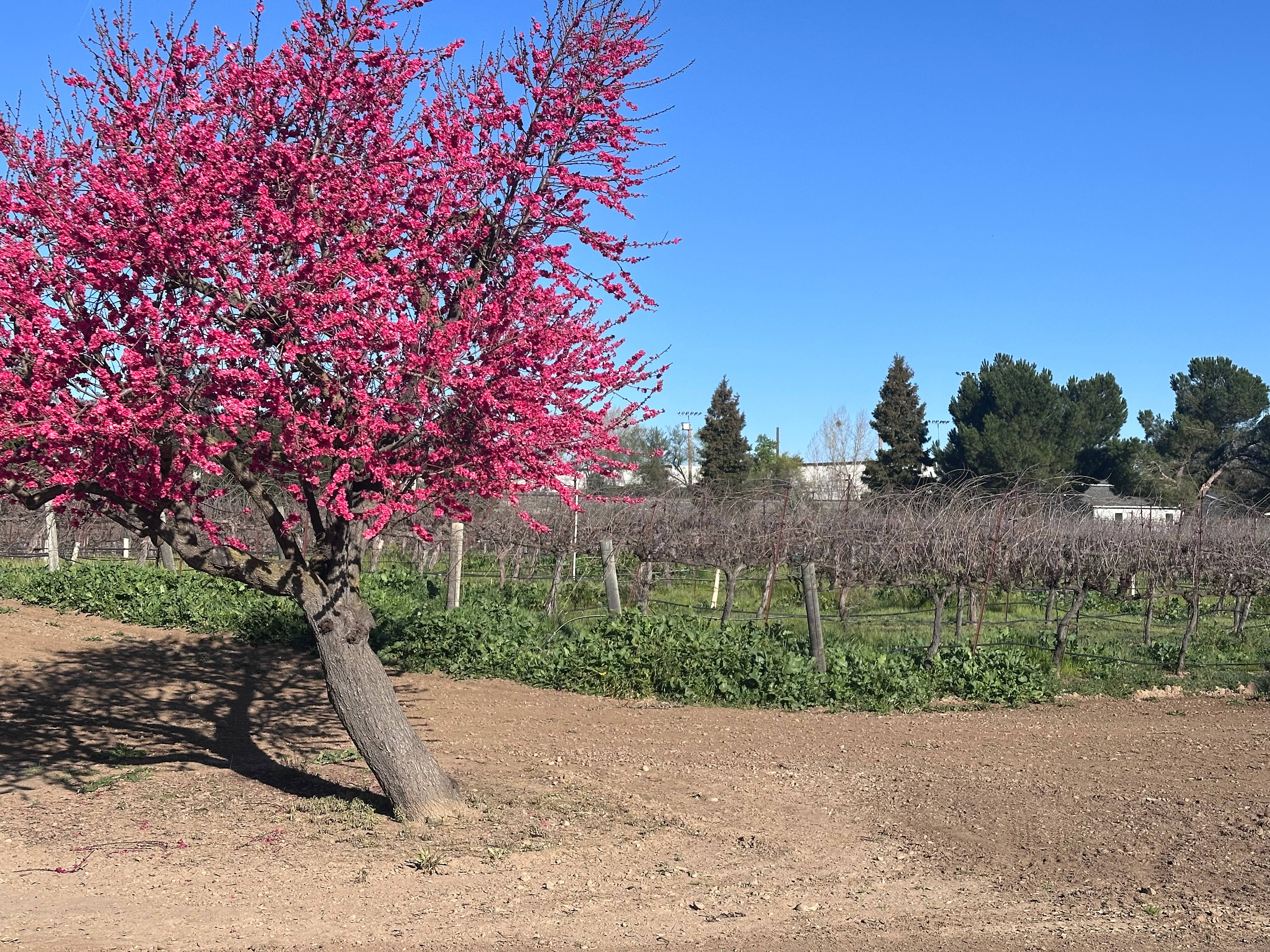 Templeton River Ranch