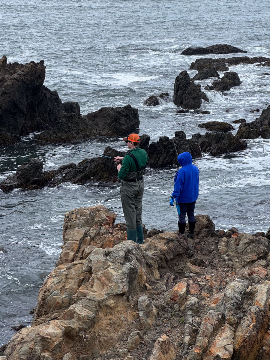 Camp Candy Cap - Coastal Camping