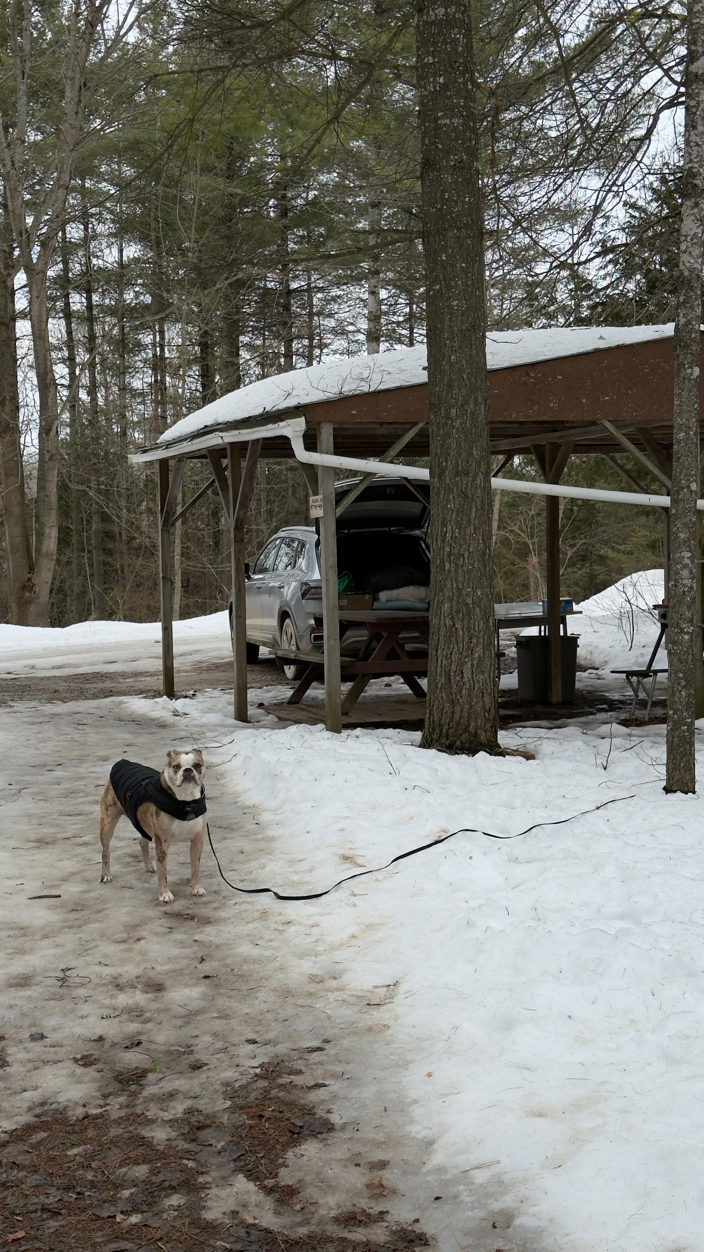 Pinehaven Camping And Cabin