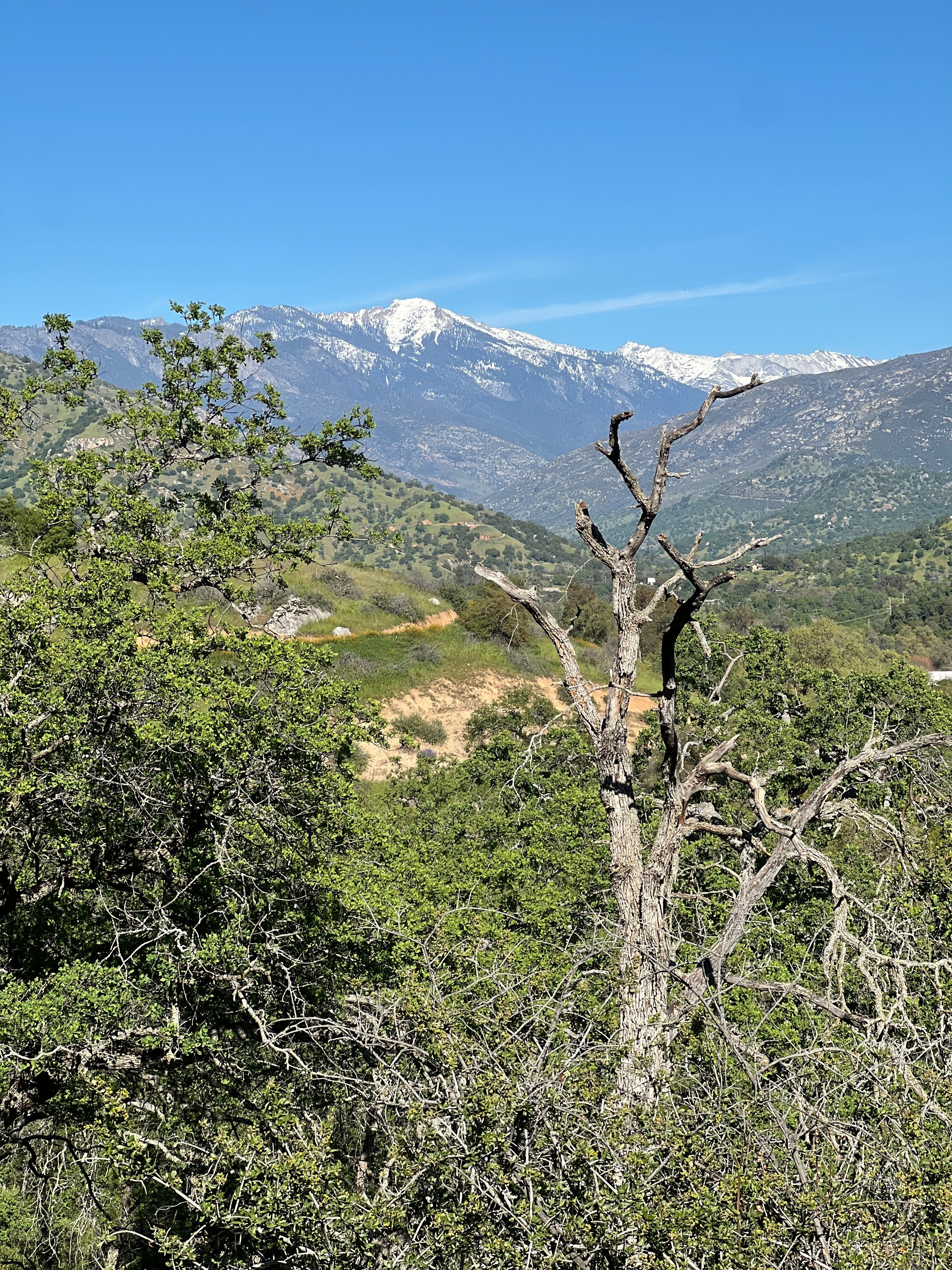 Three Rivers Nature Lodge Preserve