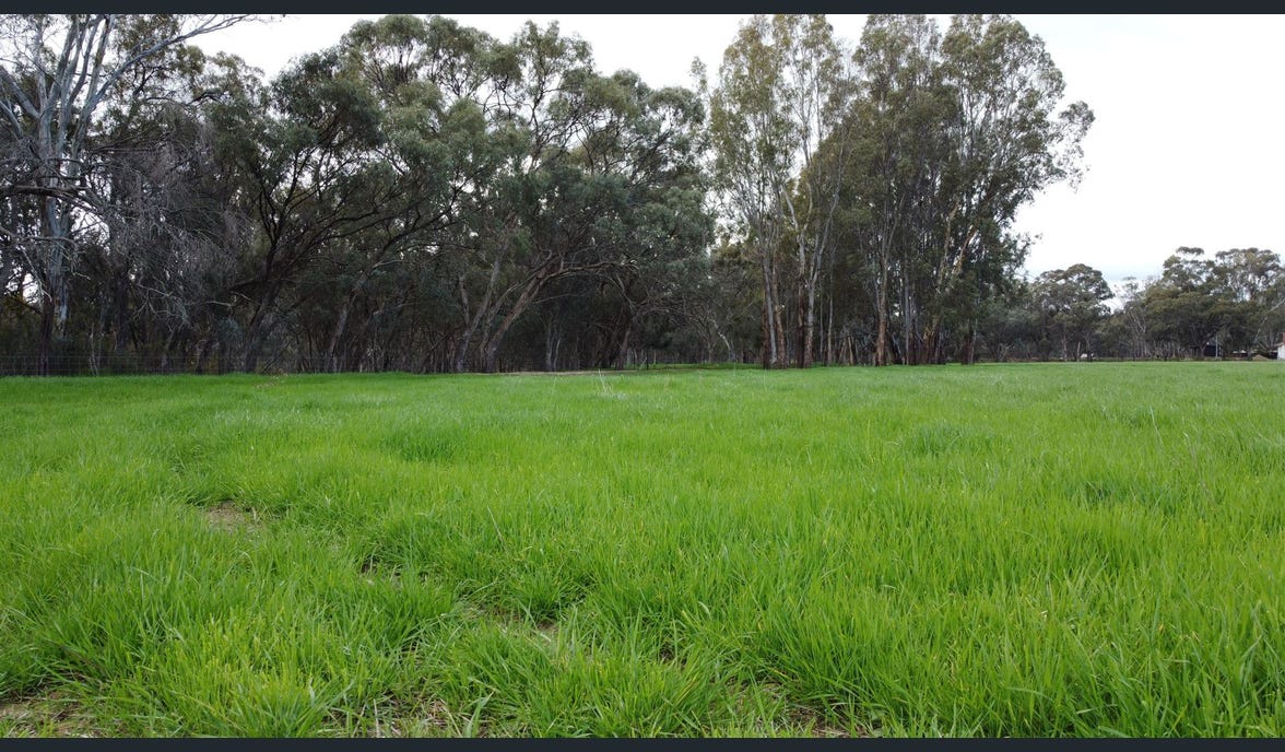 Mckee on Murry River