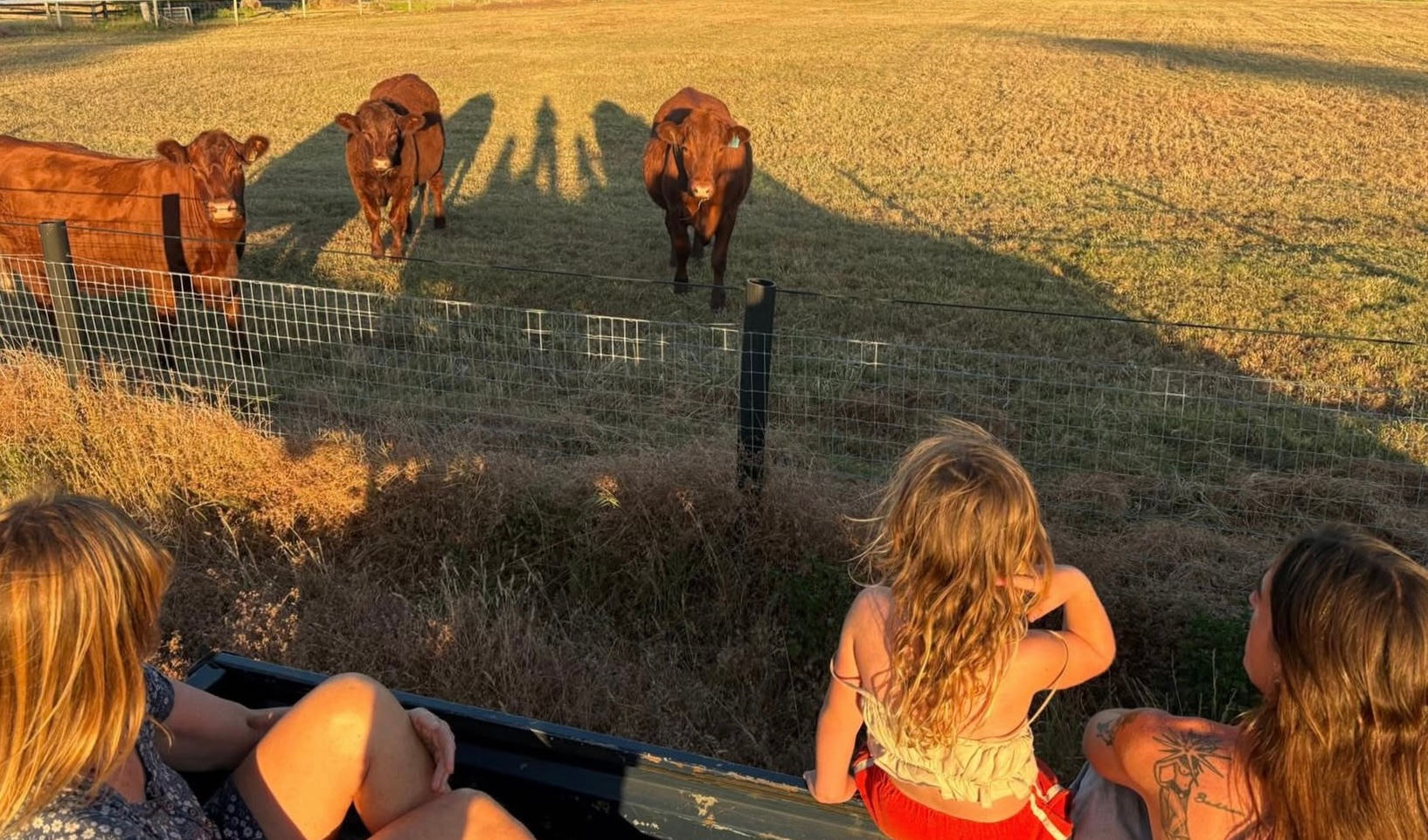 Back Paddock Hideout