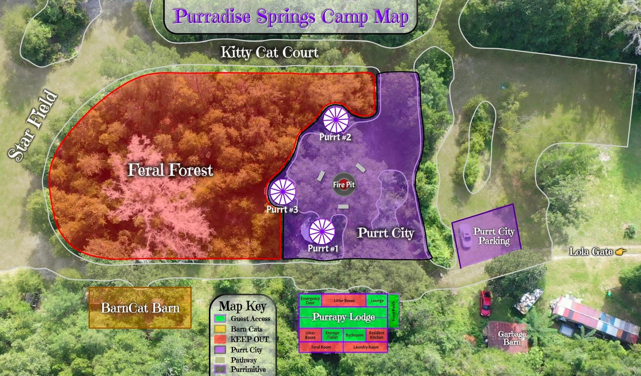 Purradise Springs 🐾 Cat Sanctuary