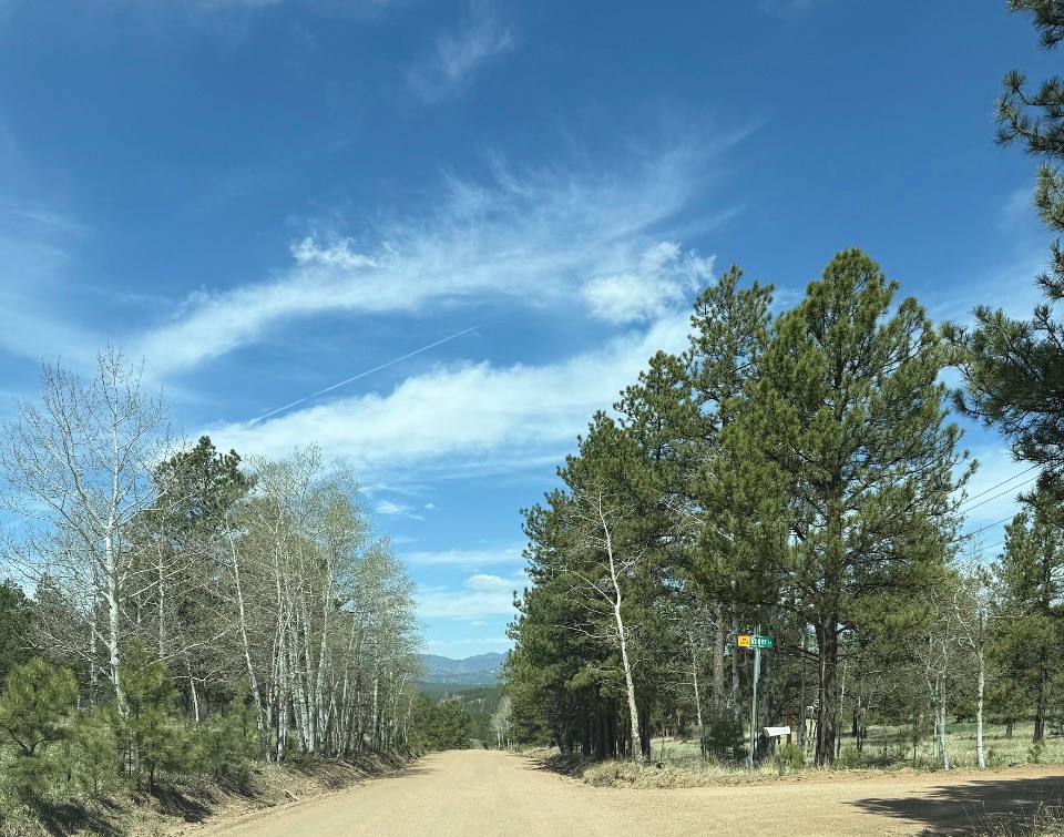 Mountain Meadow Menagerie