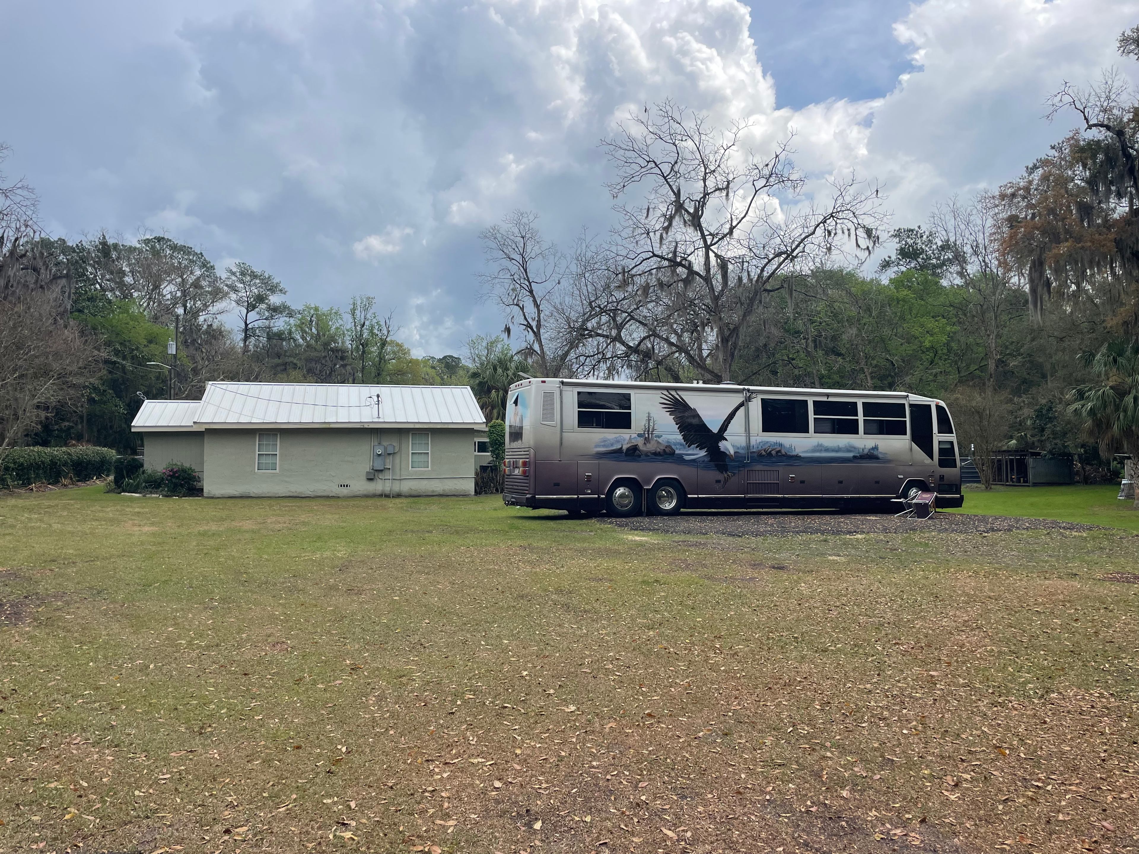 Downtown Nature Retreat