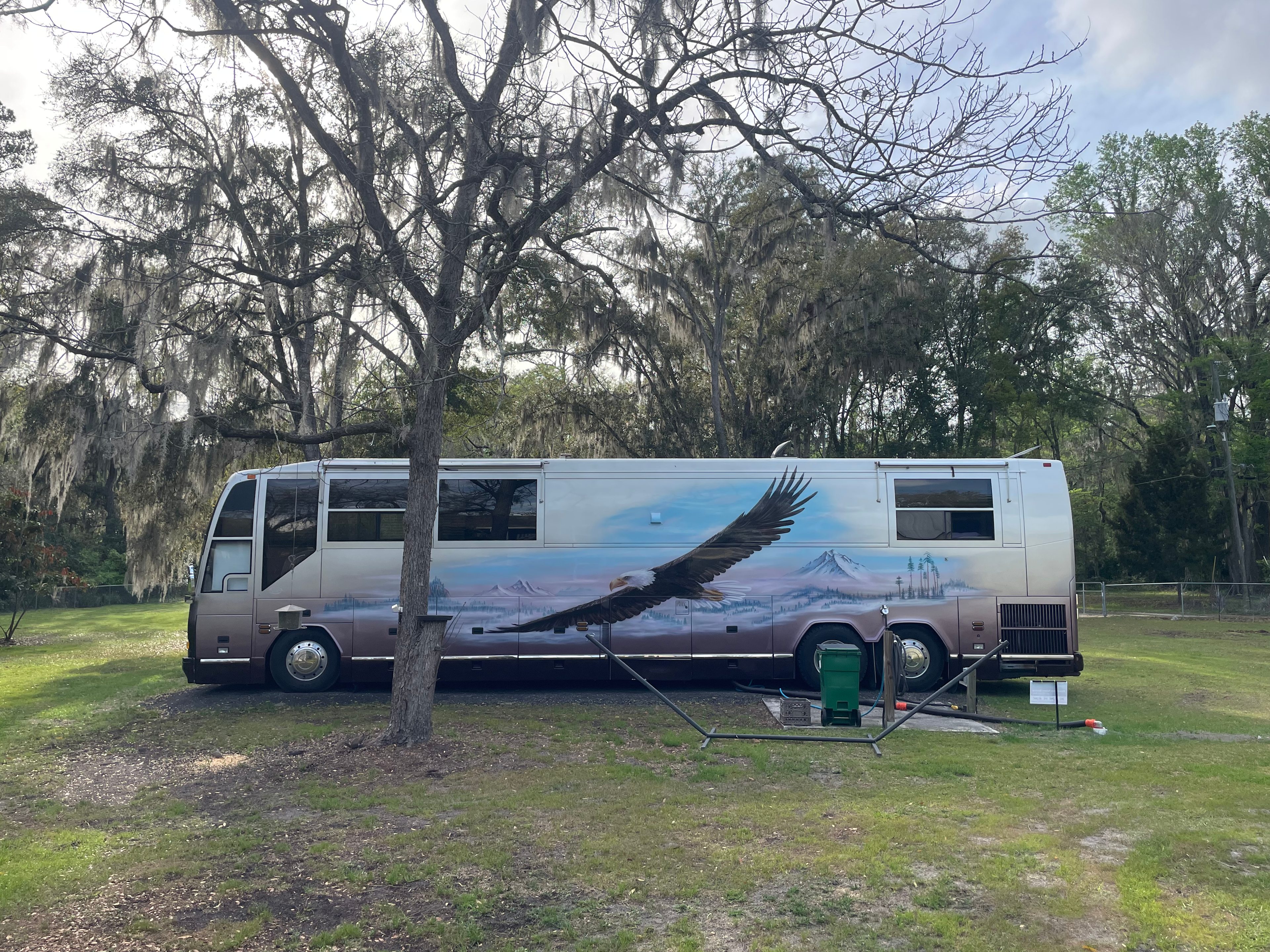 Downtown Nature Retreat