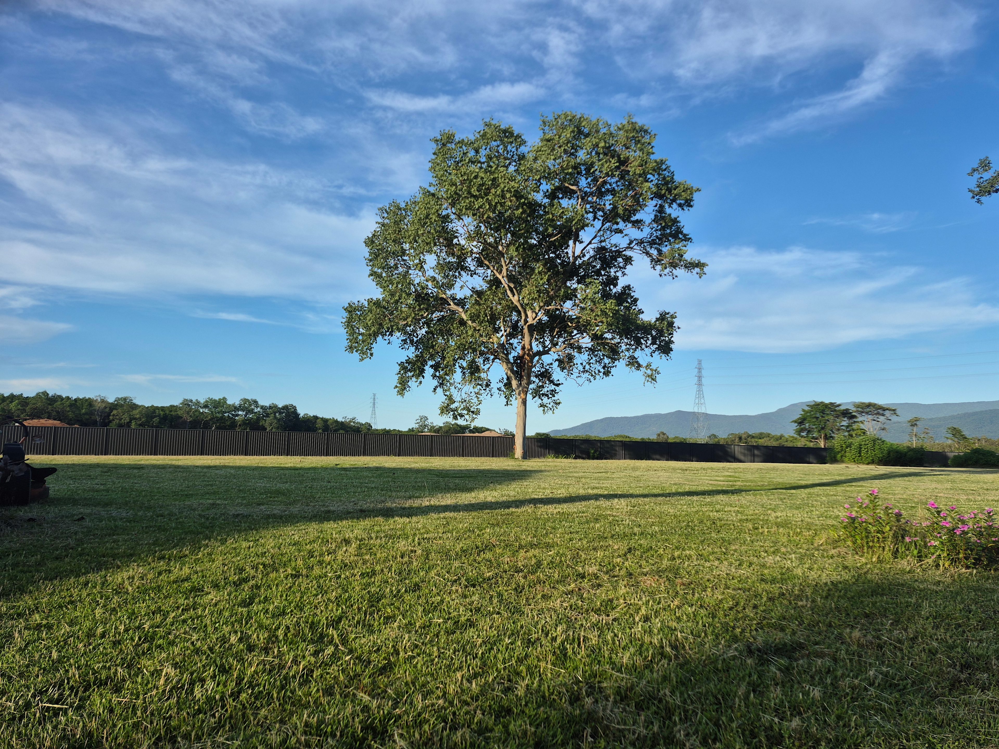 Easy Camping at Wallaby Nights