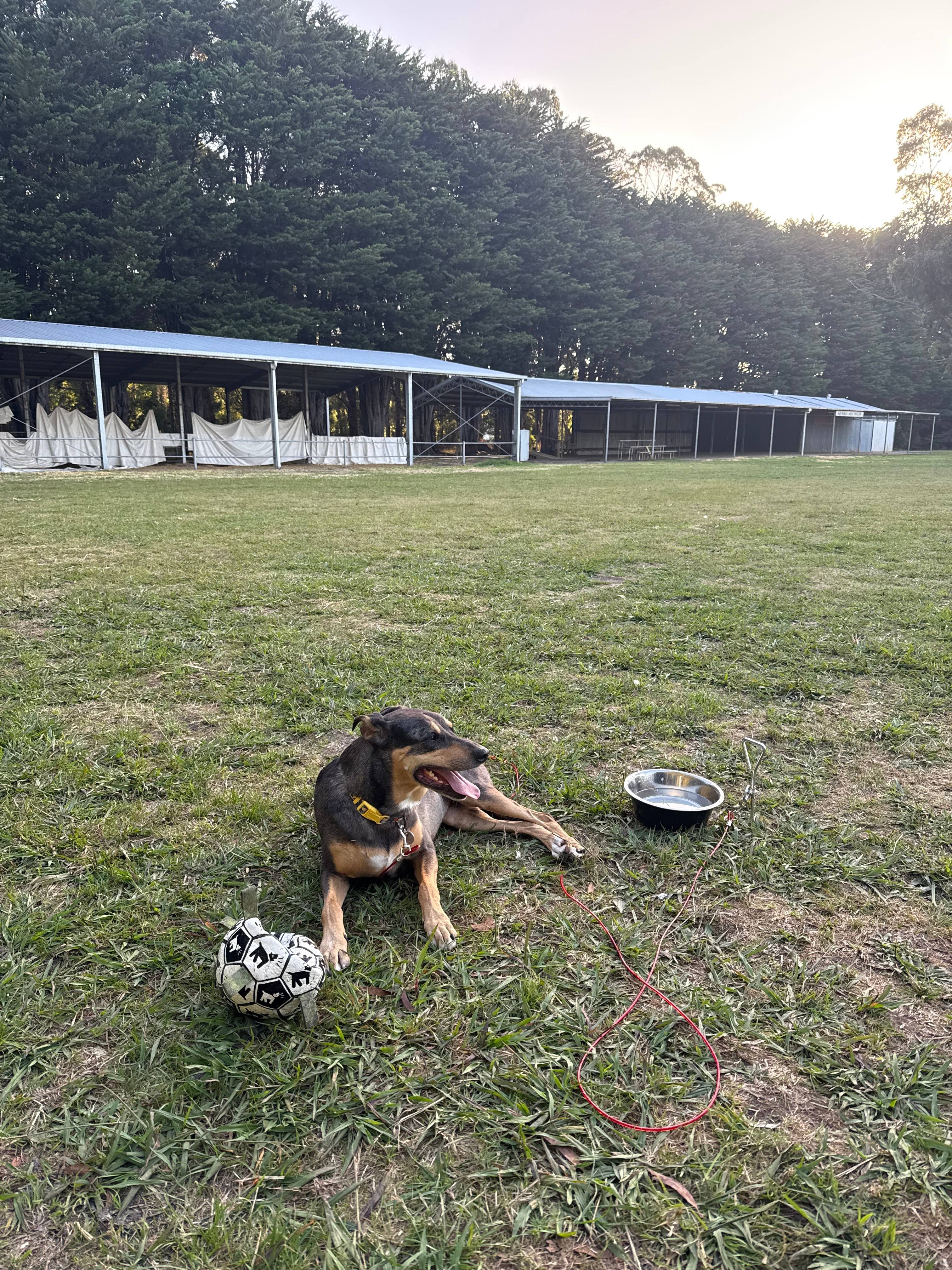 Simpson Recreation Reserve