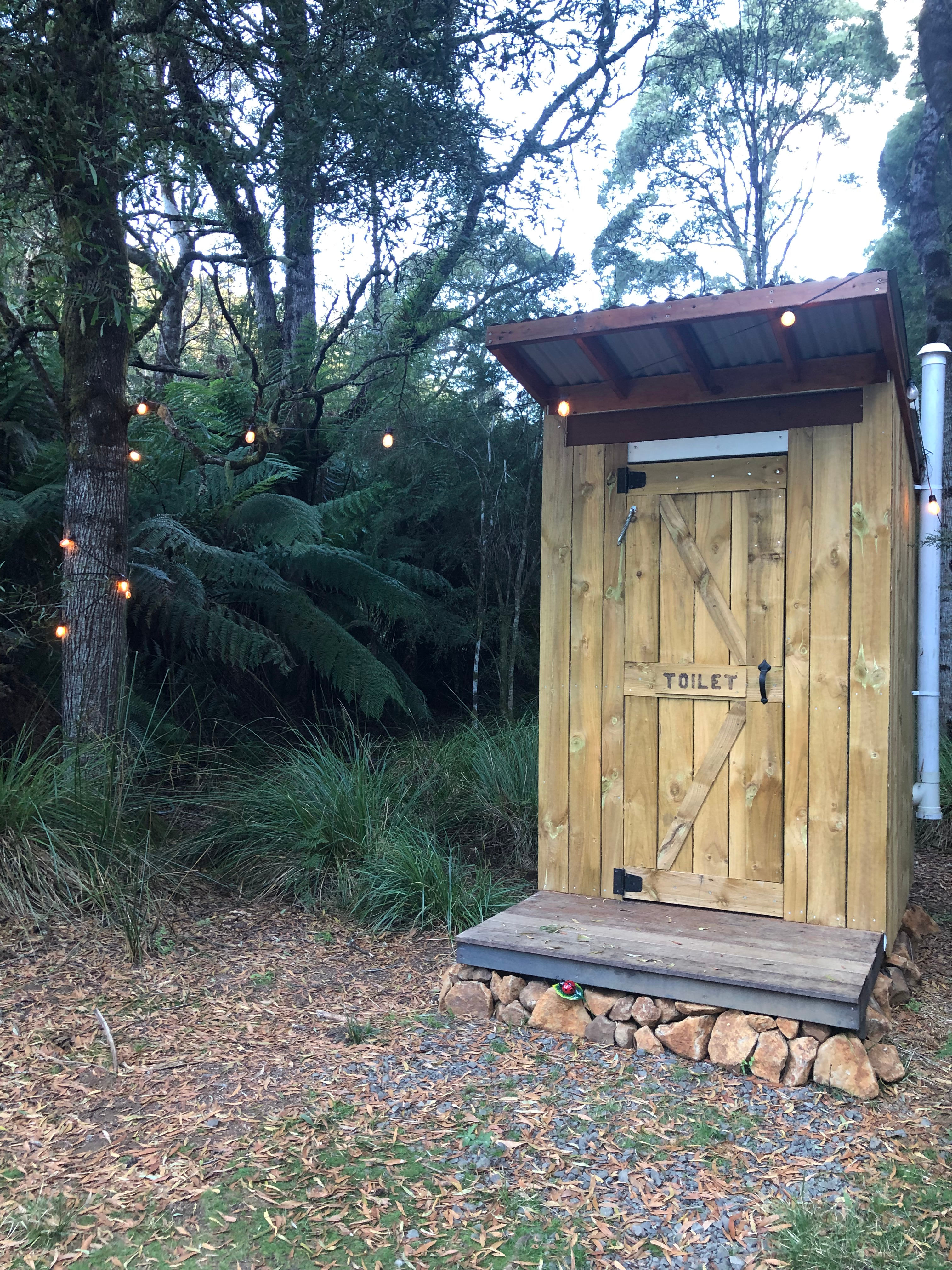 🐞🌿 Ladybug Camping 🌿🐞