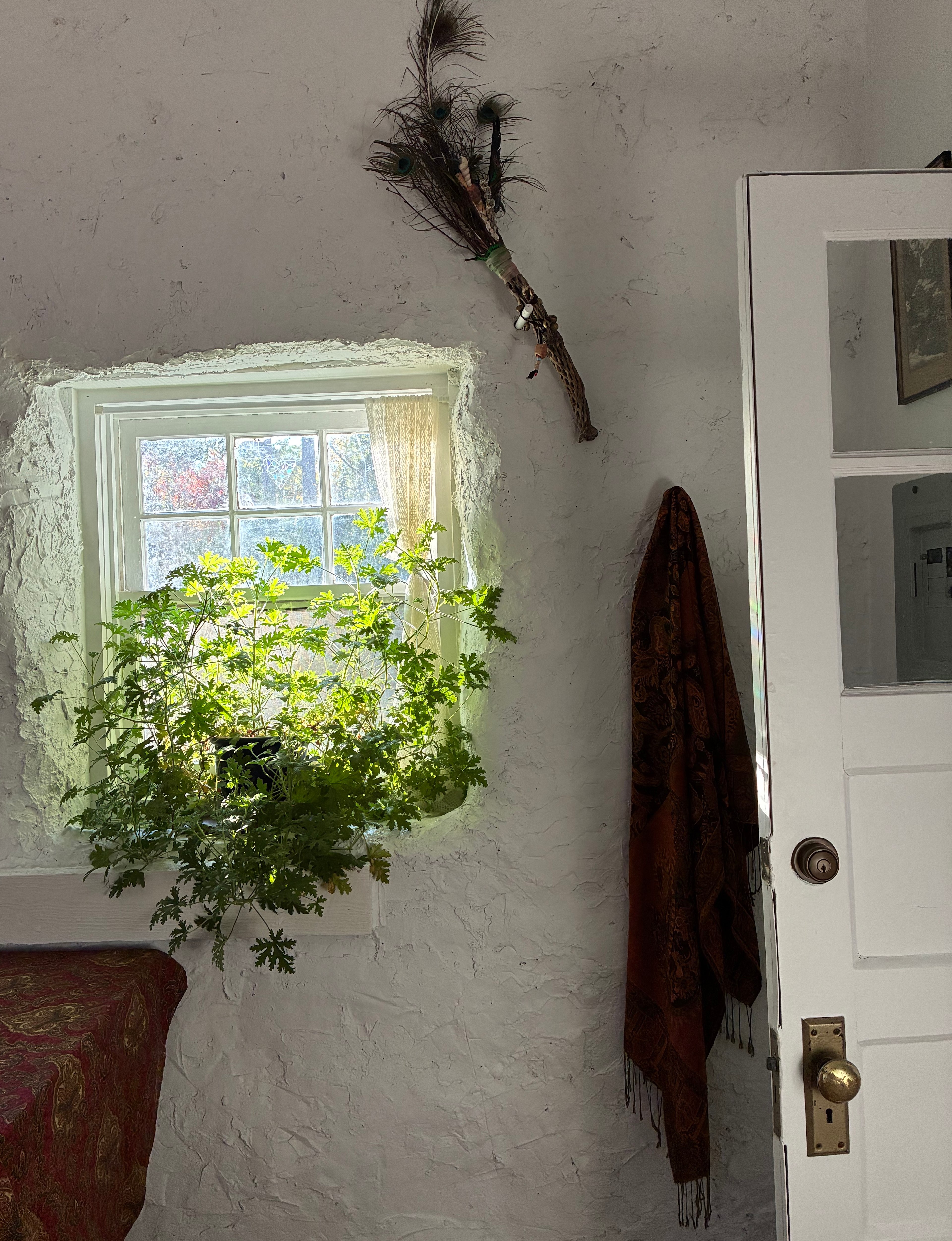 Garden Guest Cottage