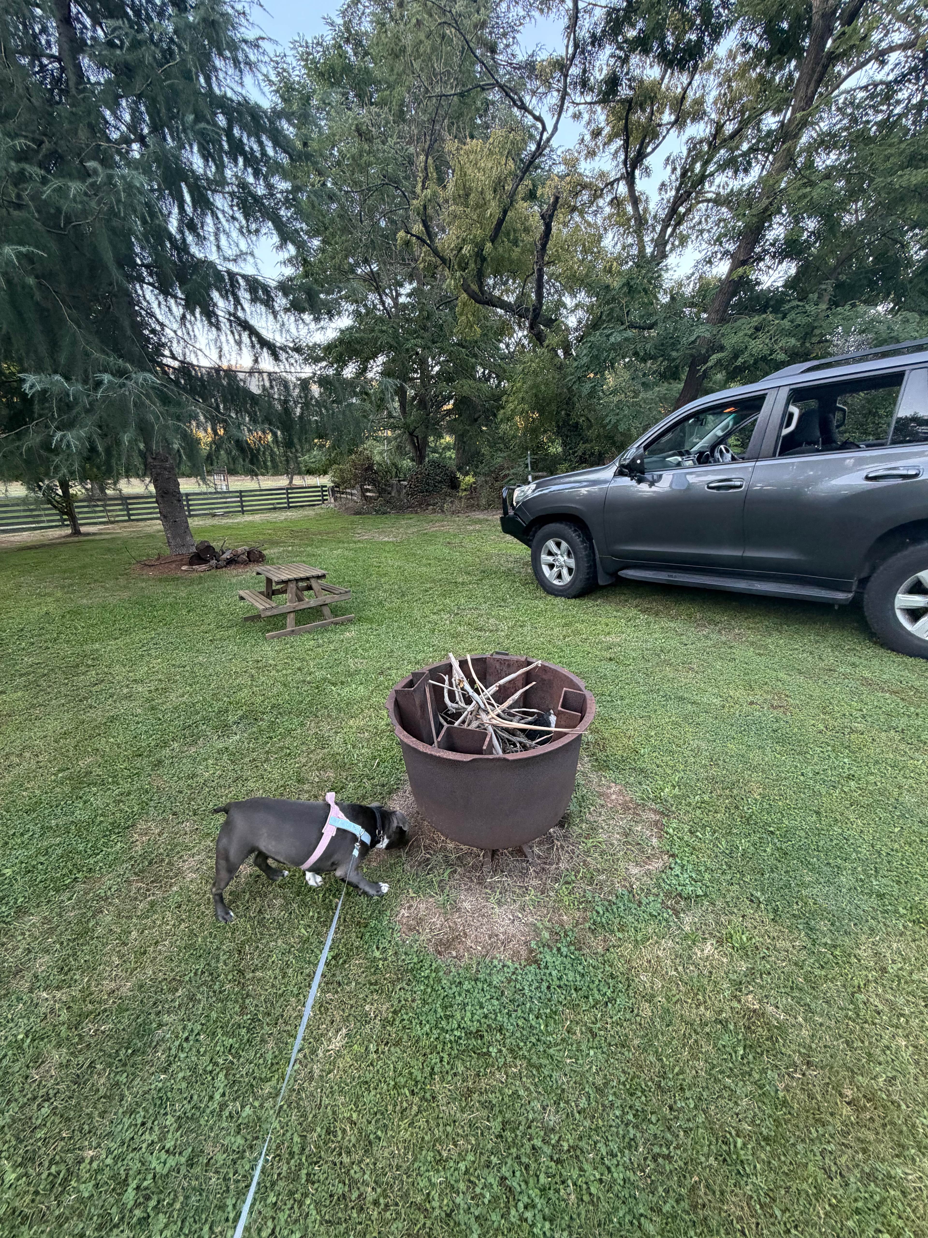 Lightning Ridge Campsite