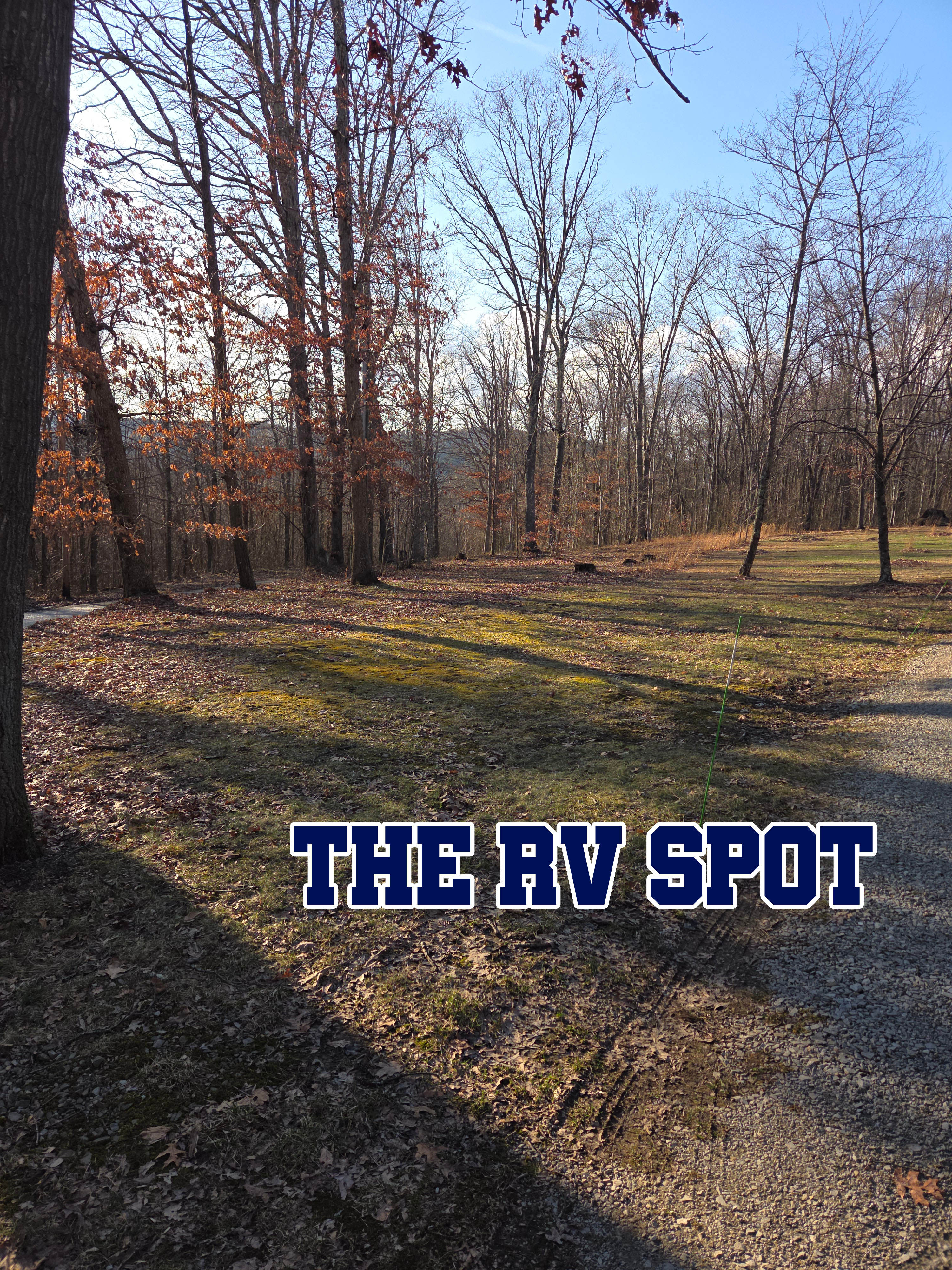 Majestic Mountain Escapes- Champion