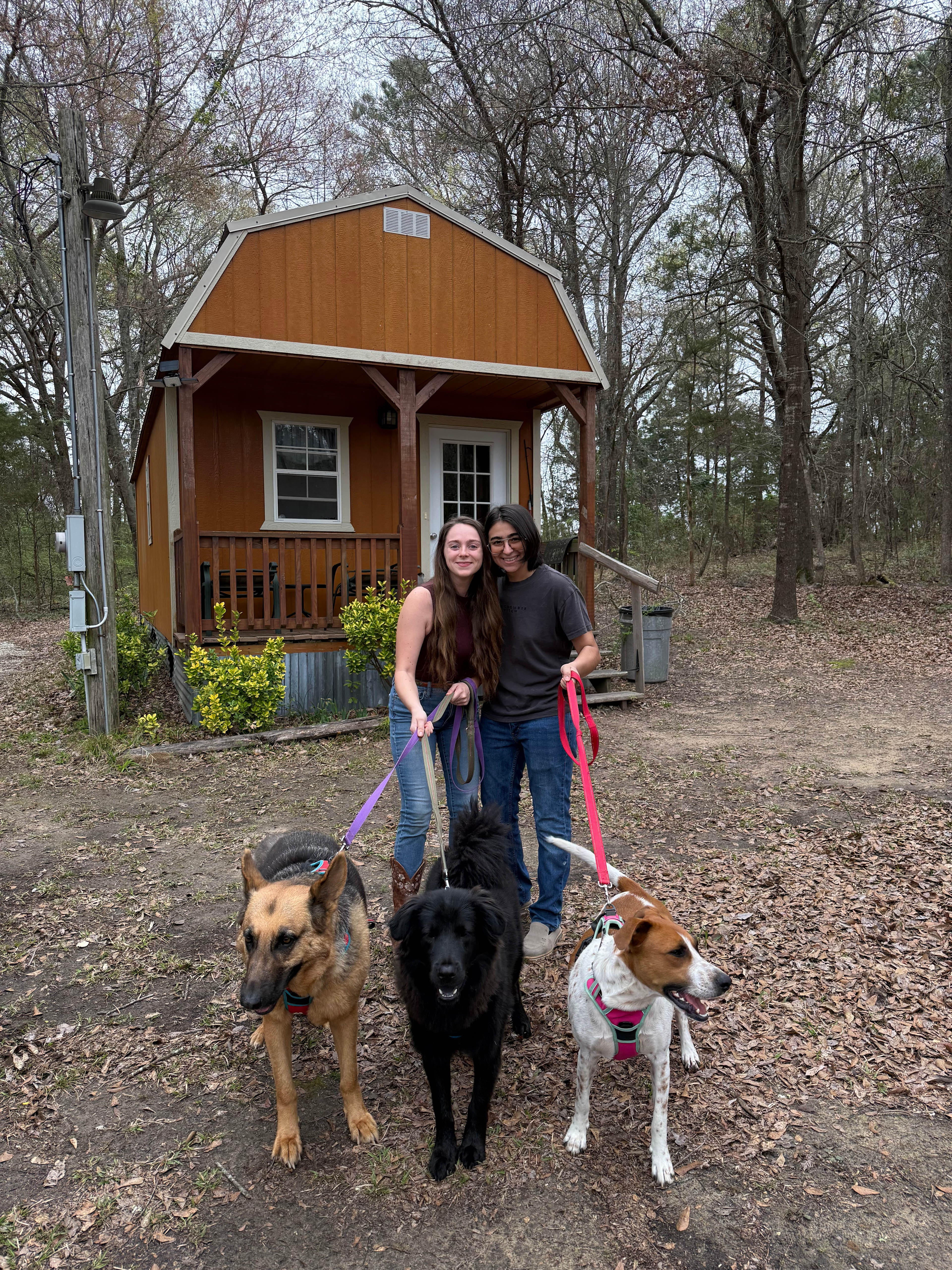 Peaceful Forest Cabin With Pond