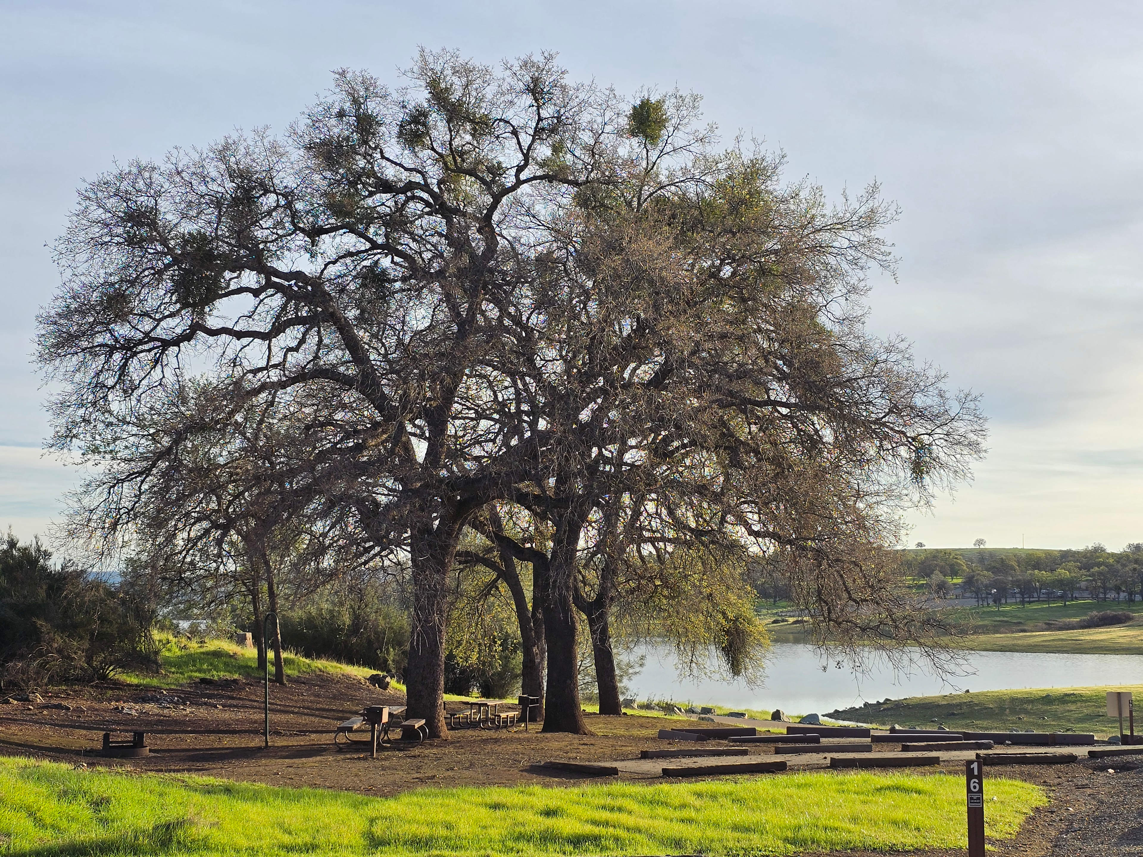 Ranchero Cottage on New Hogan Lake