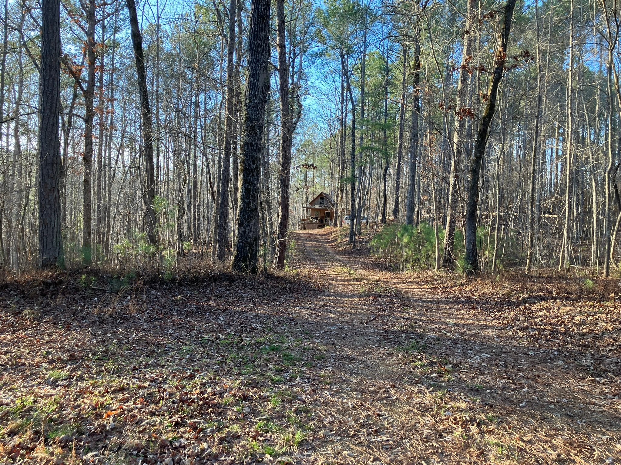 Road to the cabin.