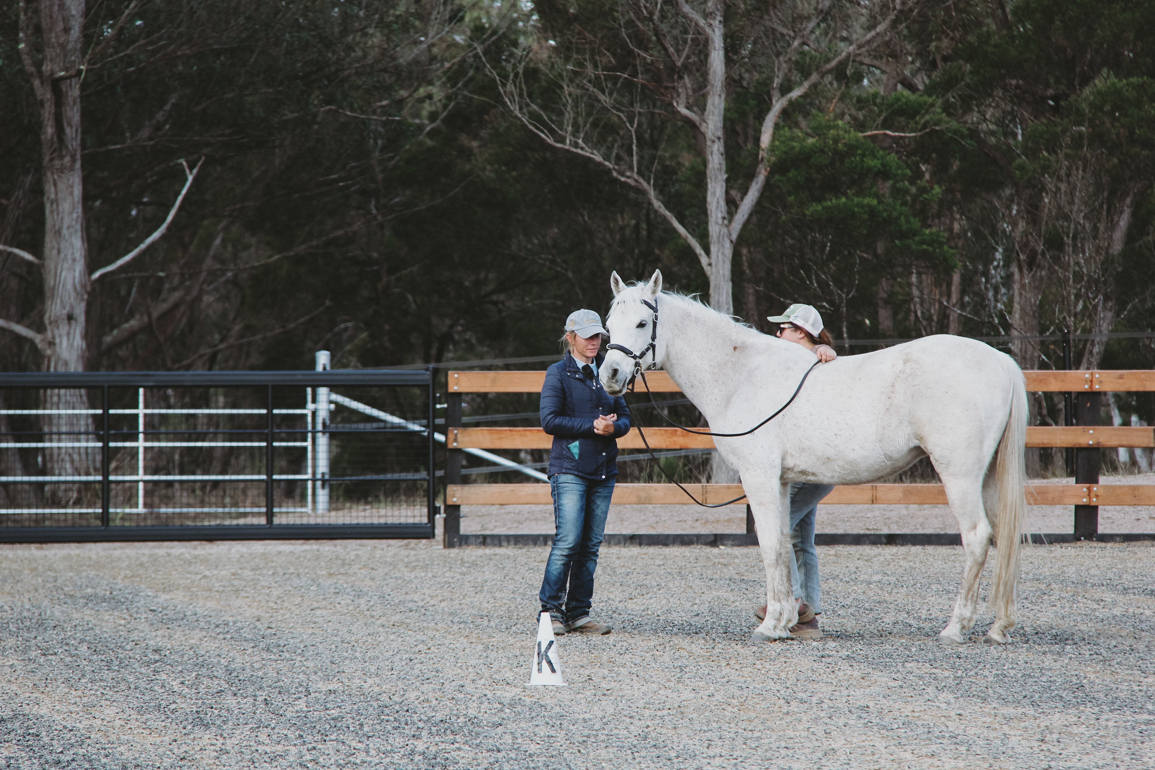 Janisa | Horse & Dog Friendly Stay