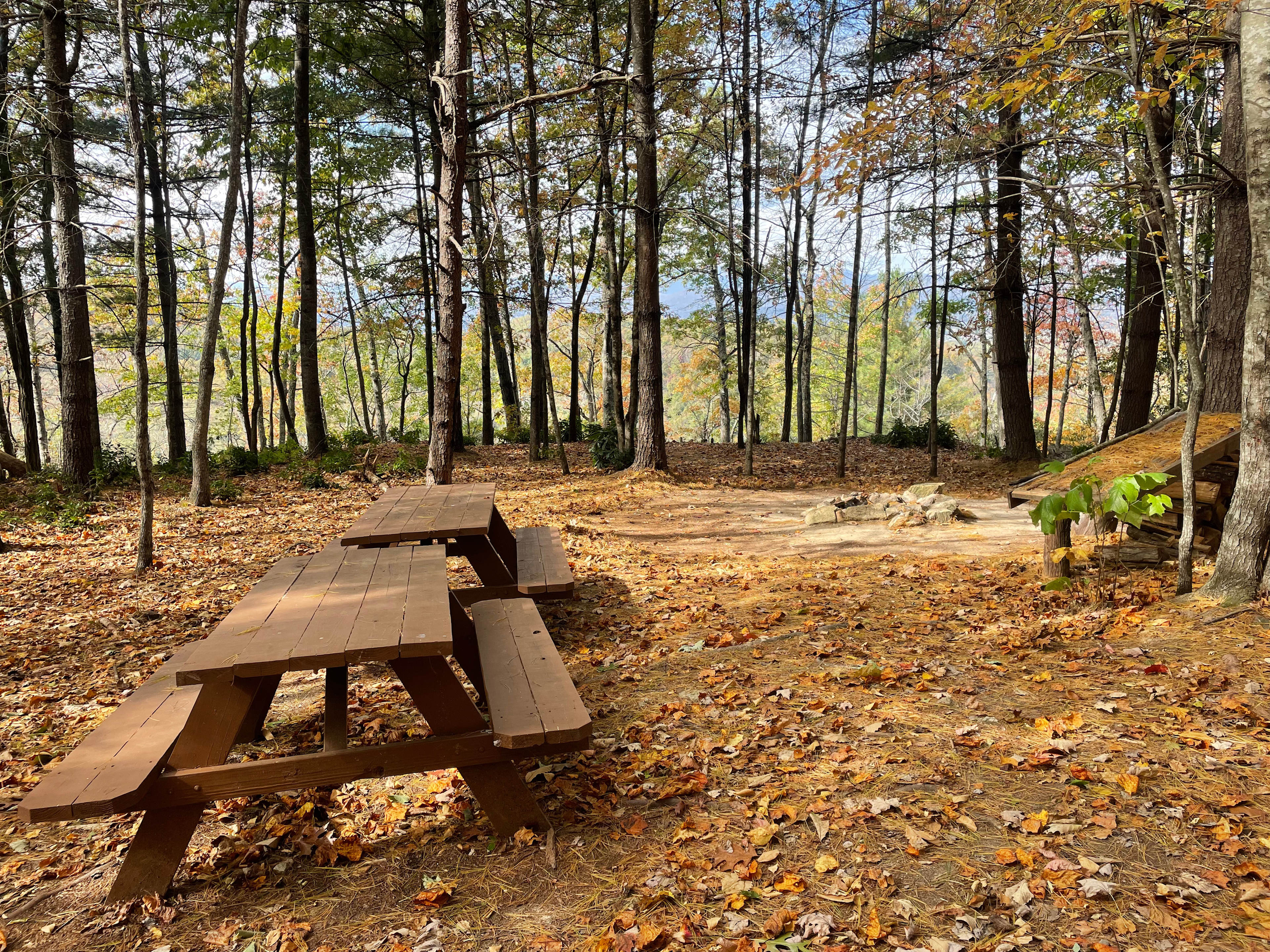 Green Haven, Primitive Camping