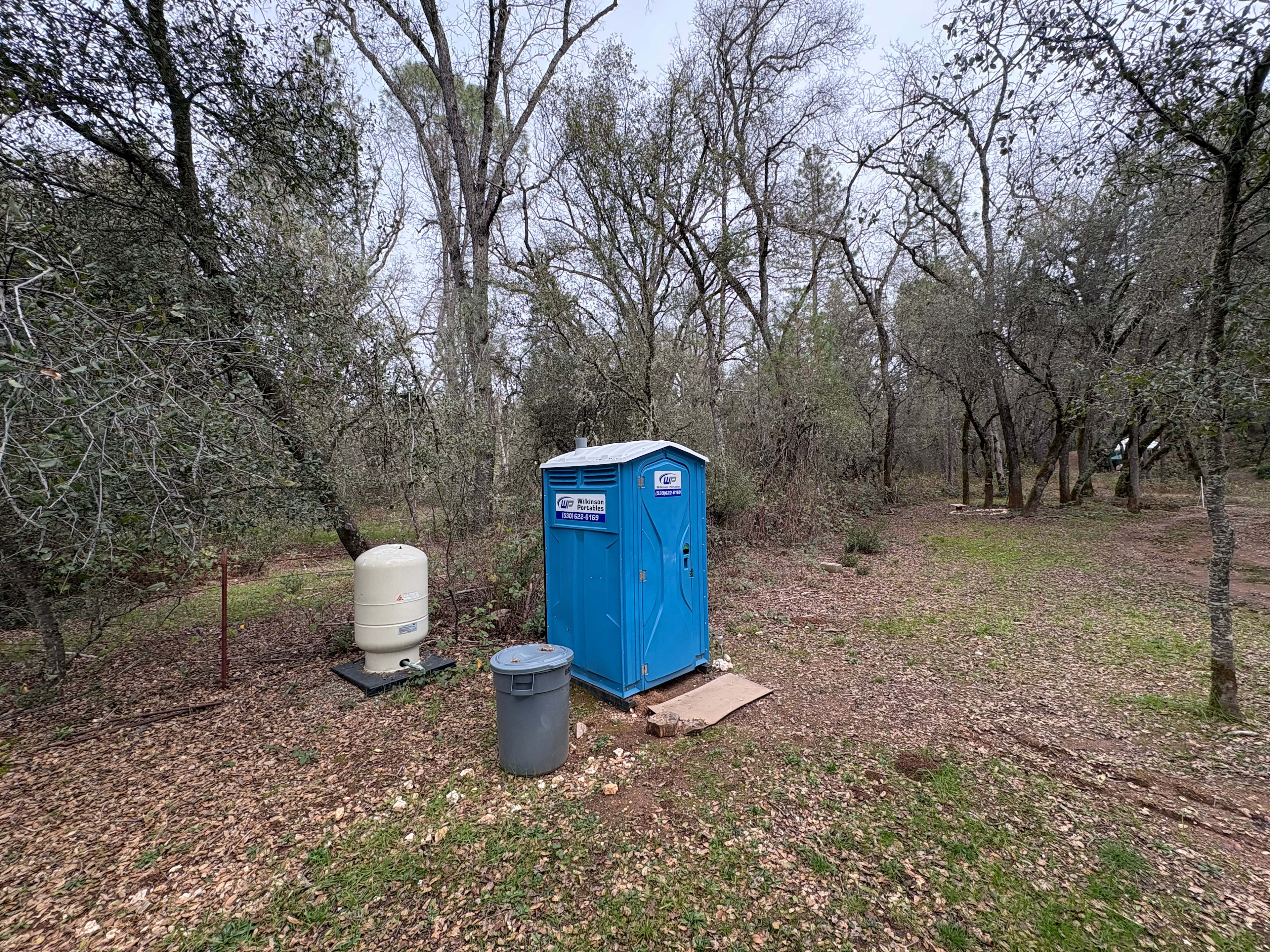 The Black Oak Forest