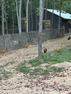Valhalla Farms