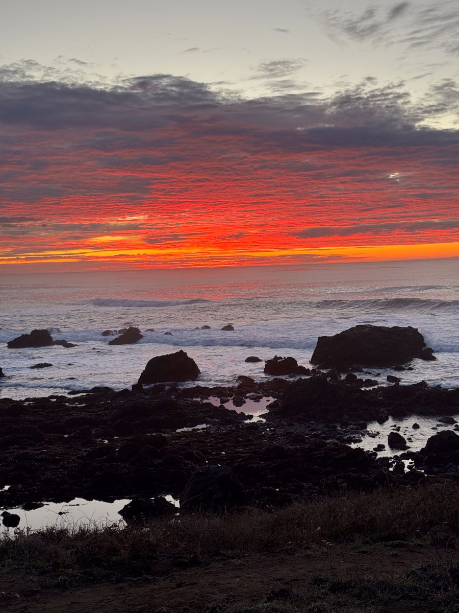 Camp Candy Cap - Coastal Camping